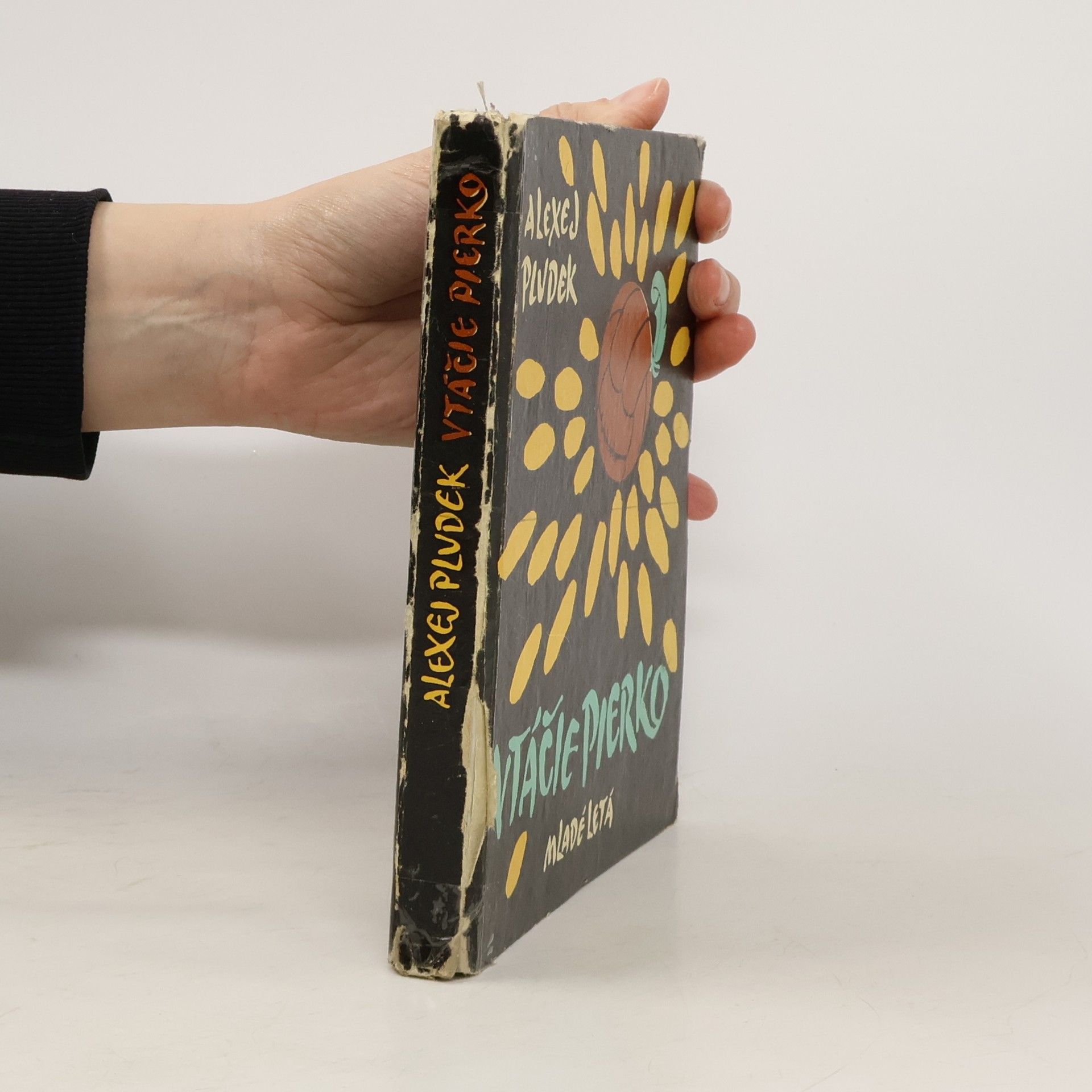 Alexej Pludek Vtáčie pierko