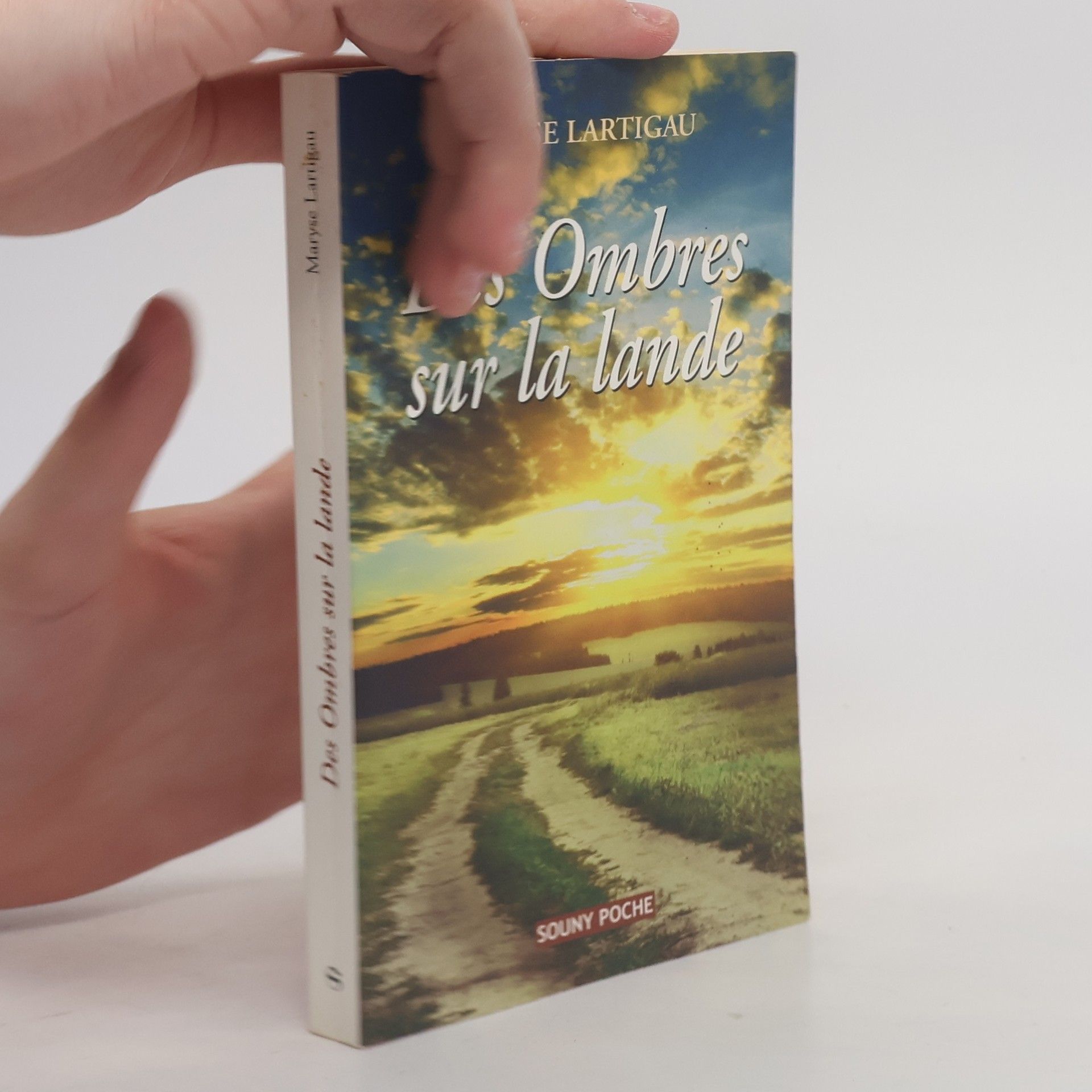 Maryse Lartigau Des ombres sur la lande