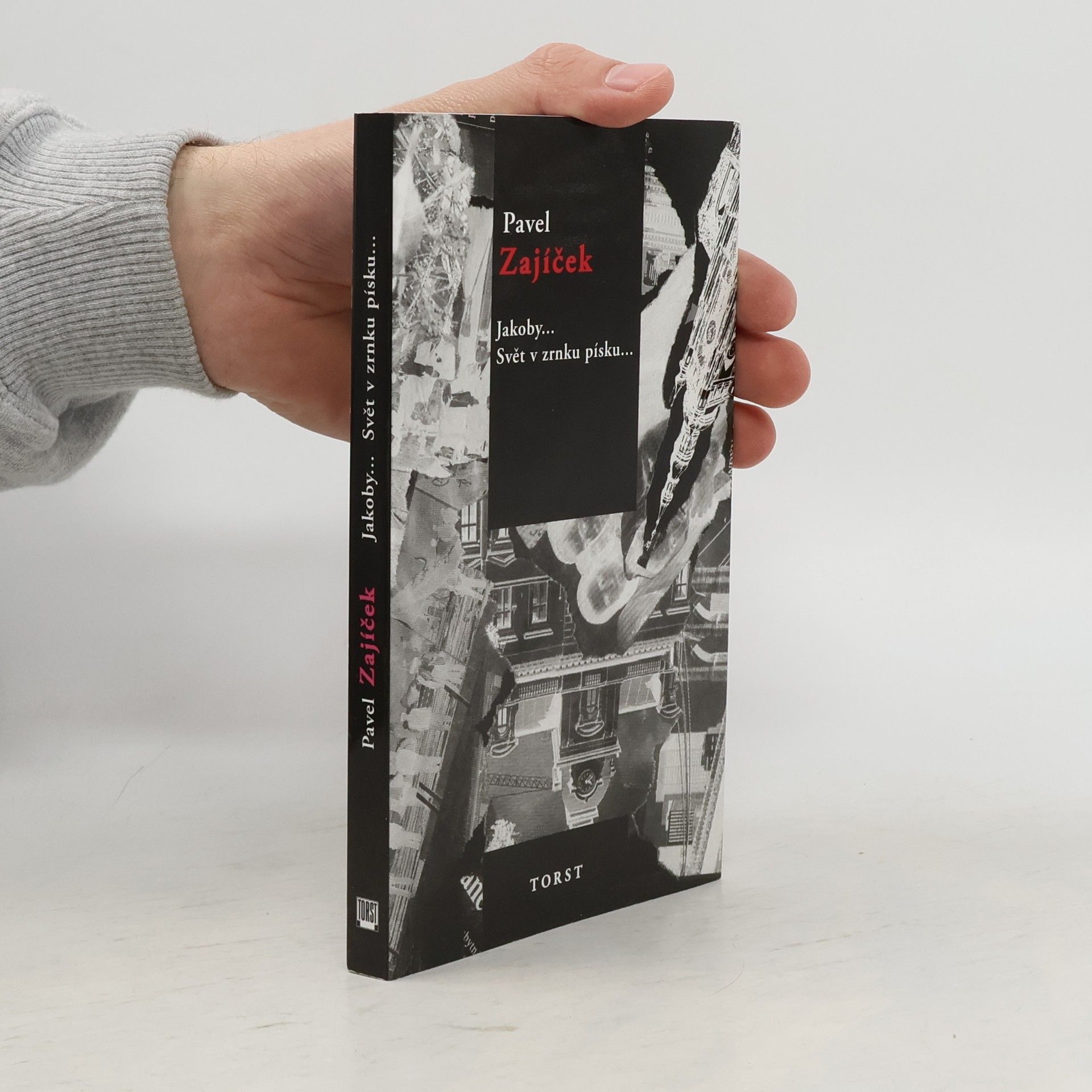 Pavel Zajíček Jakoby... Svět v zrnku písku...
