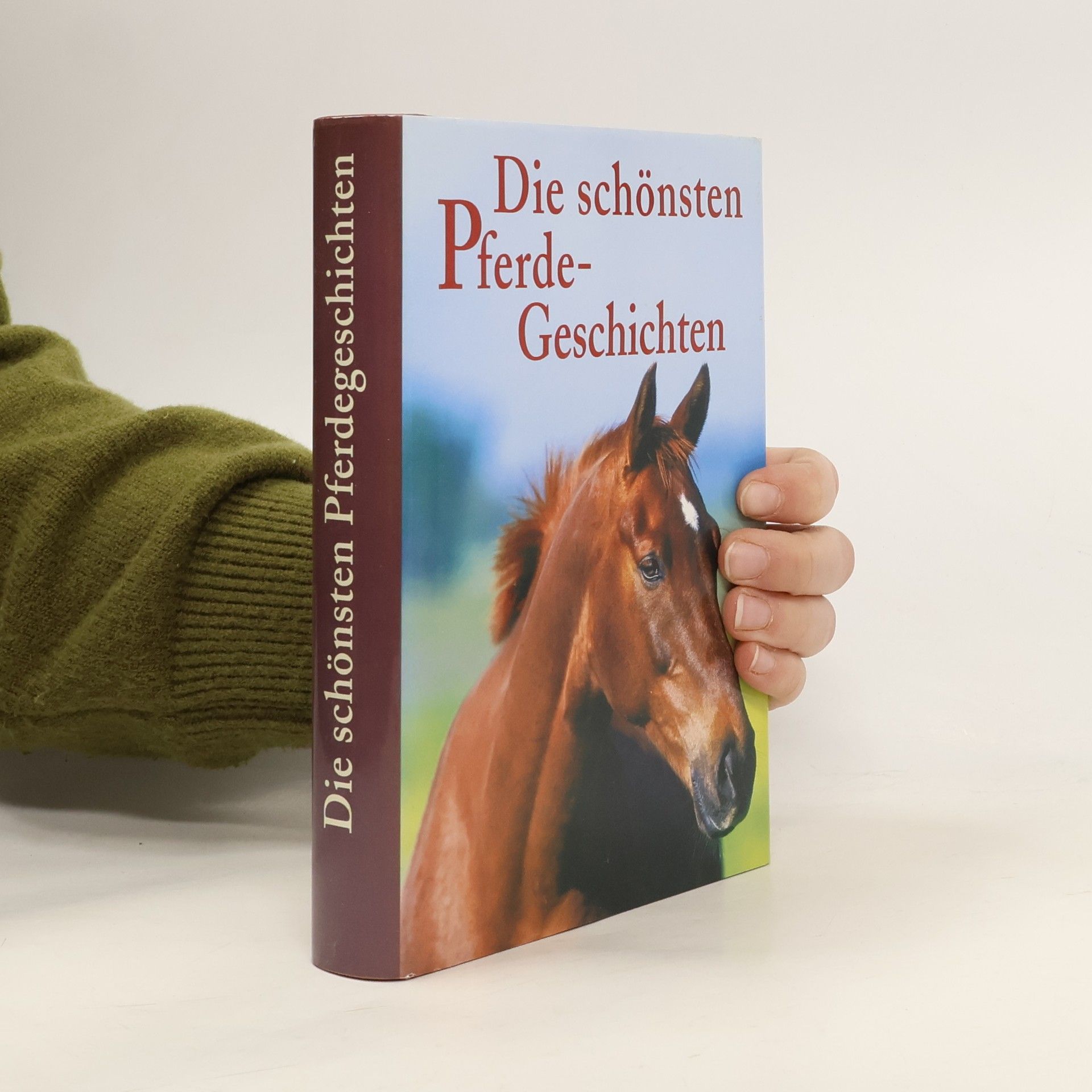 kolektiv Die schönsten Pferde-Geschichten