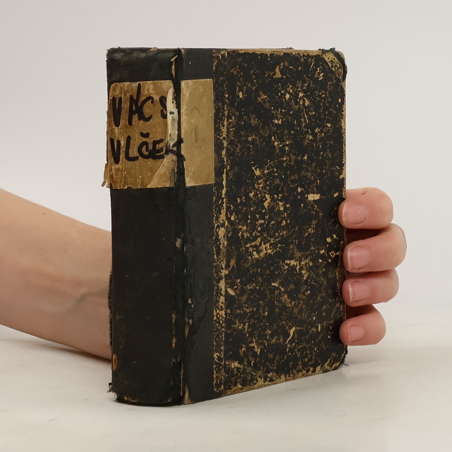 Václav Vlček Samohrady 1