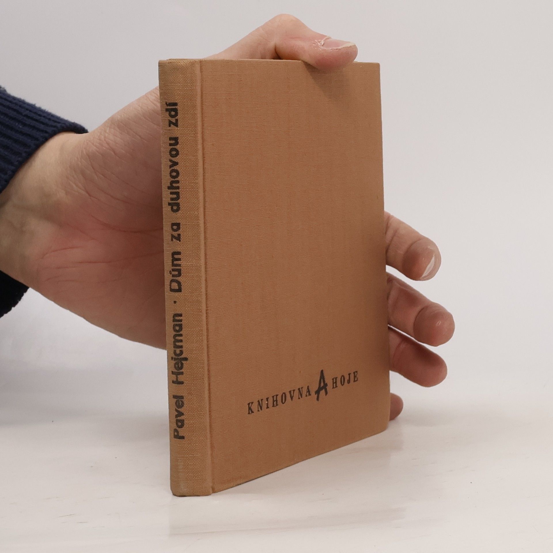 Pavel Hejcman Dům za duhovou zdí