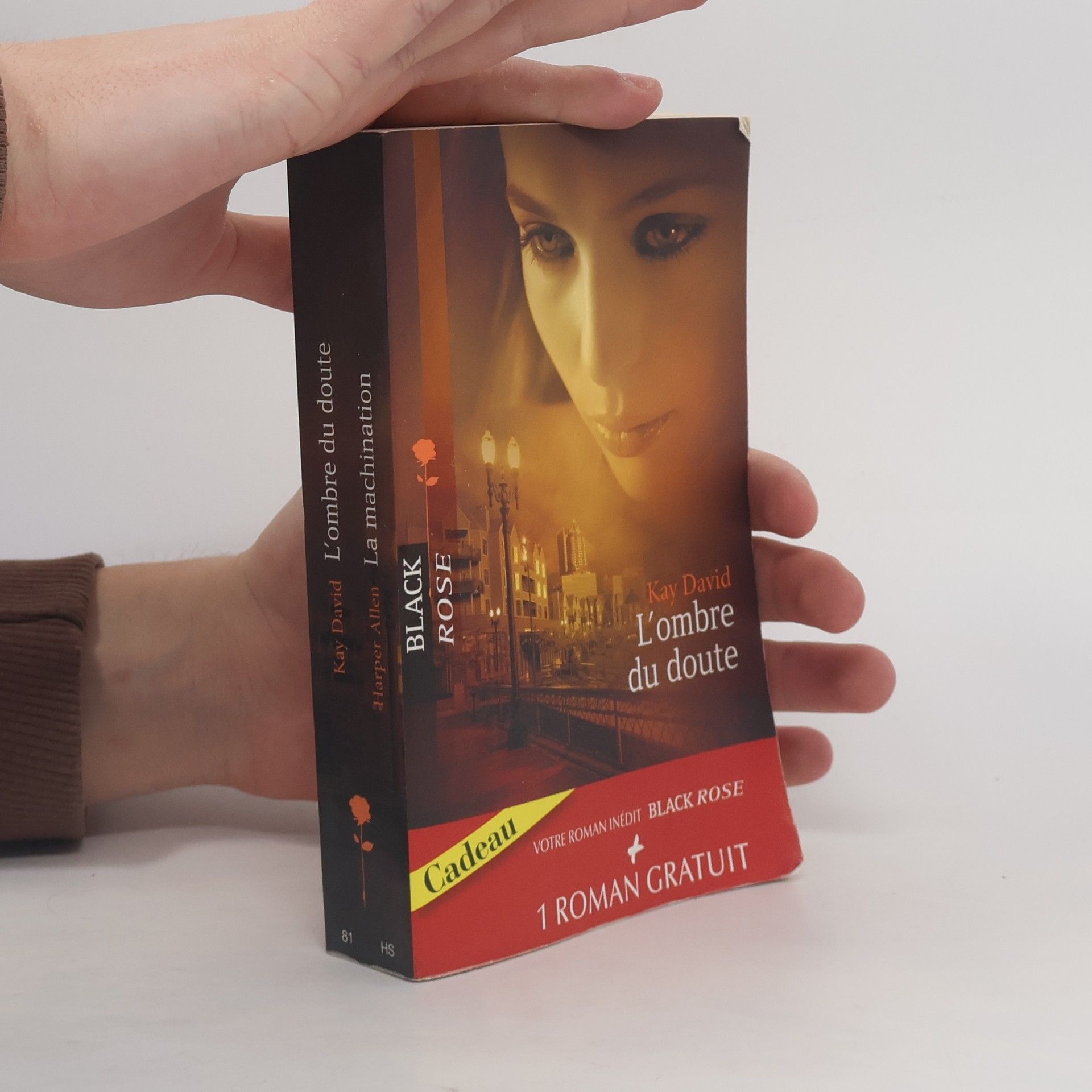 Kay David L'ombre du doute / La machination