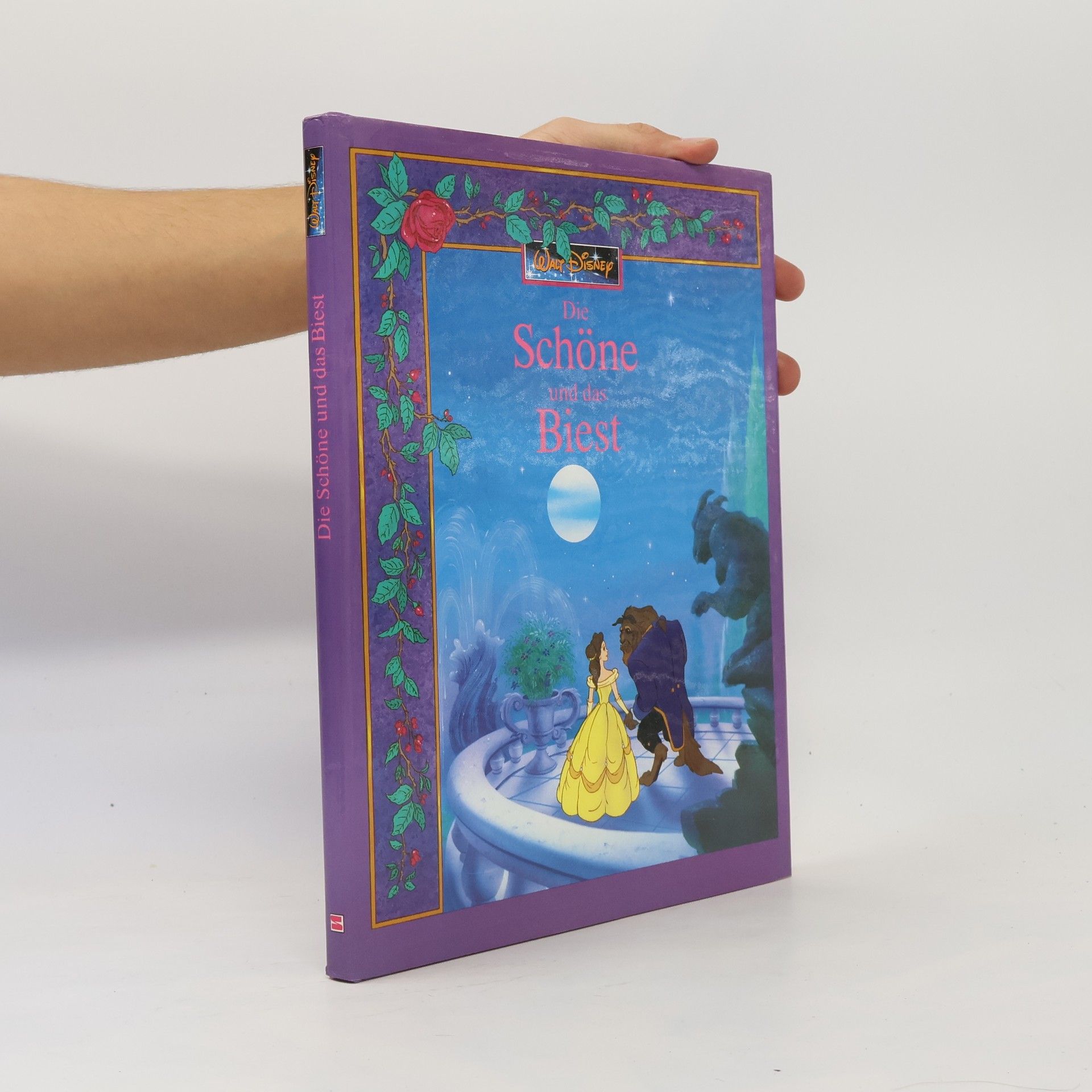 Kolektiv autorů Die Schöne und das Biest