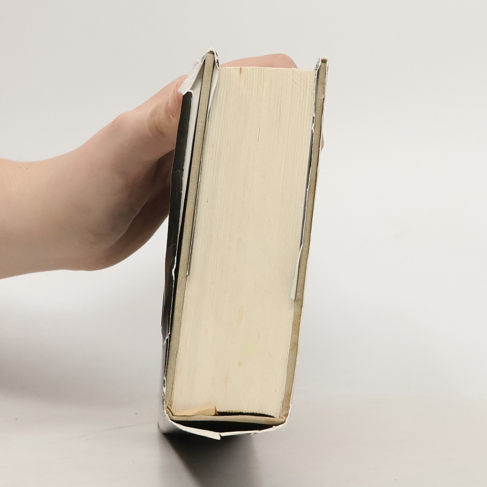Colleen McCullough Vtáky v tŕní