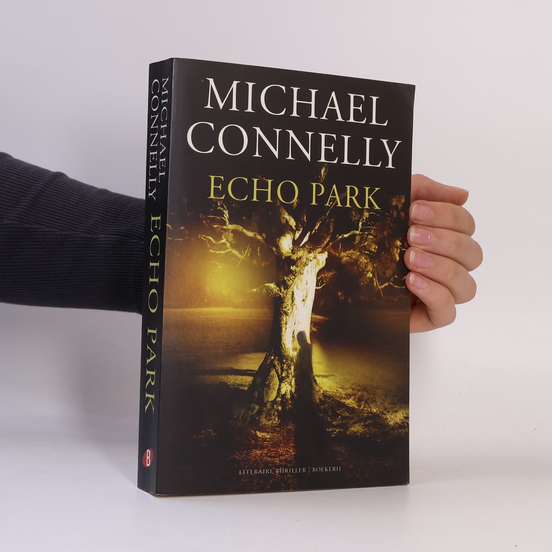 Michael Connelly Harry Bosch Serie - 12: Echo Park