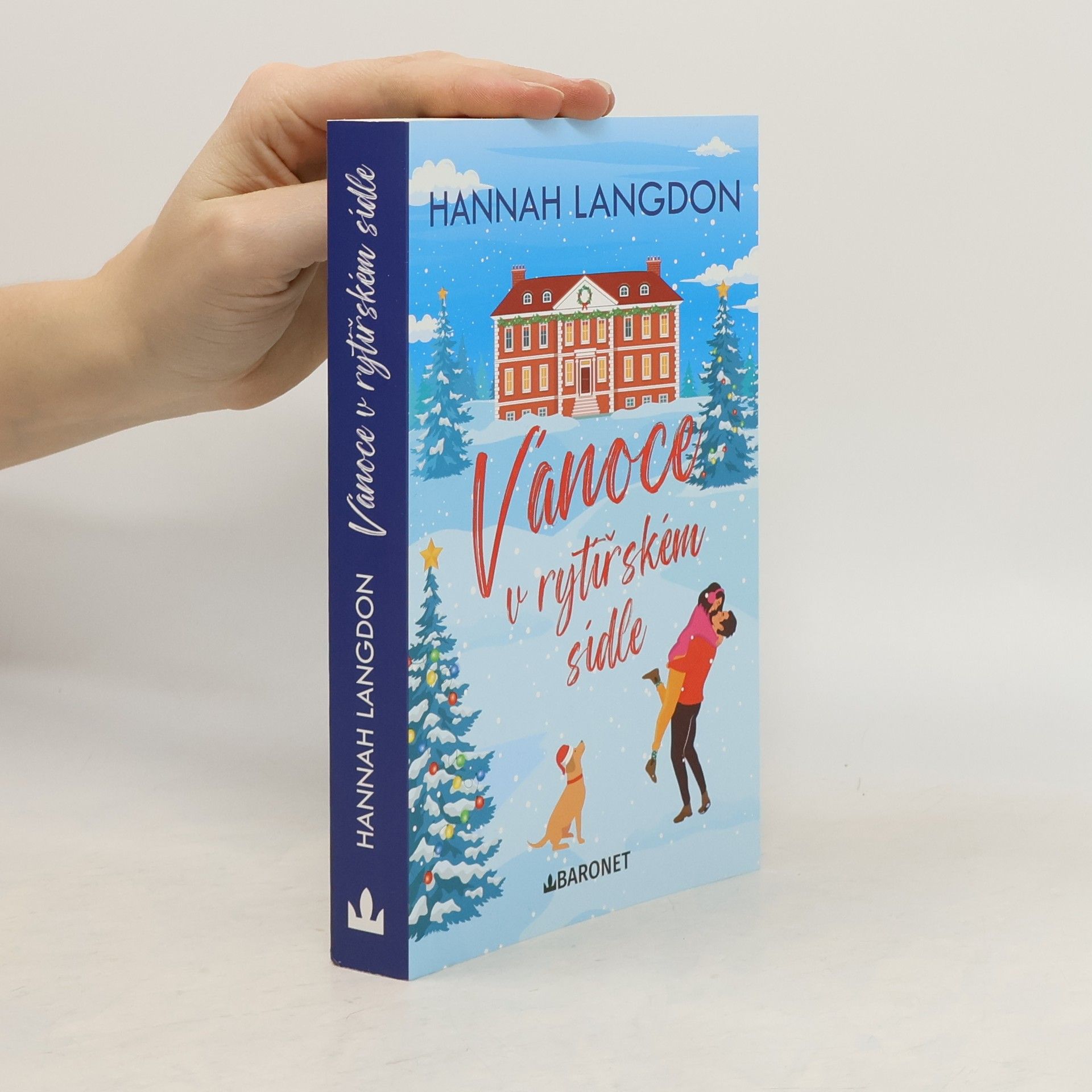Hannah Langdon Vánoce v rytířském sídle