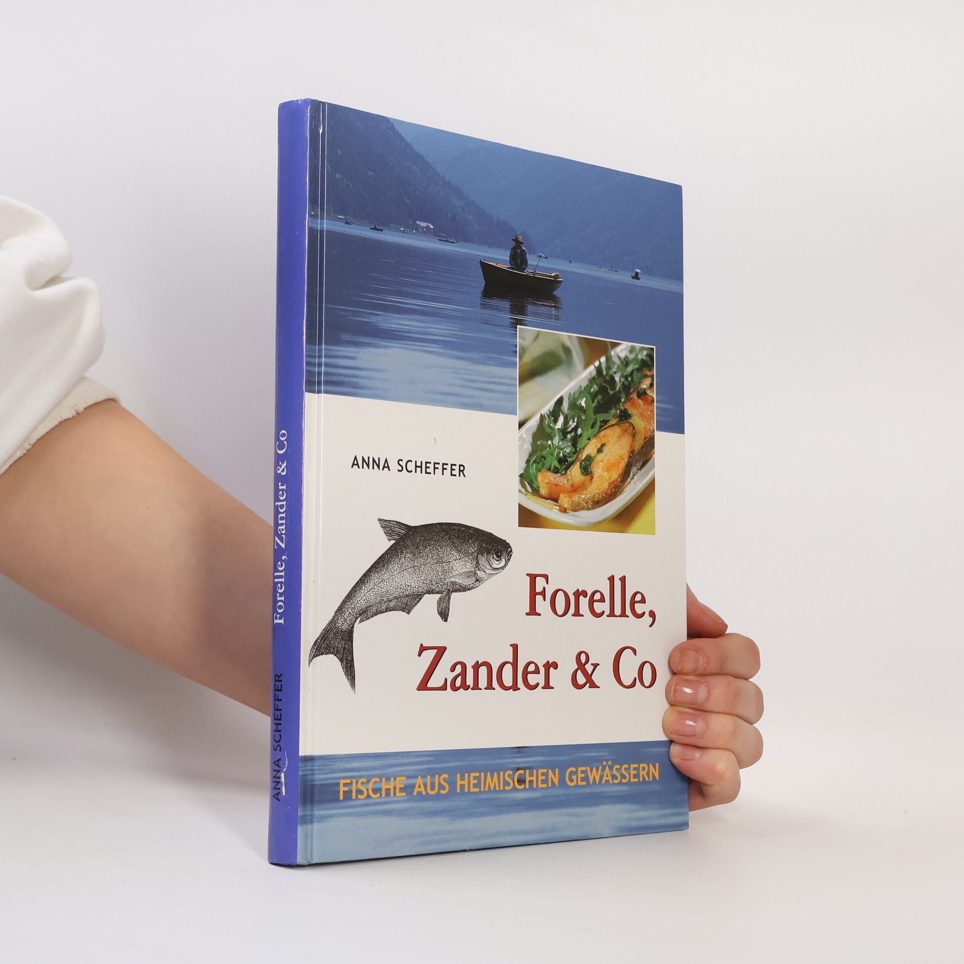 Anna Scheffer Forelle, Zander & Co