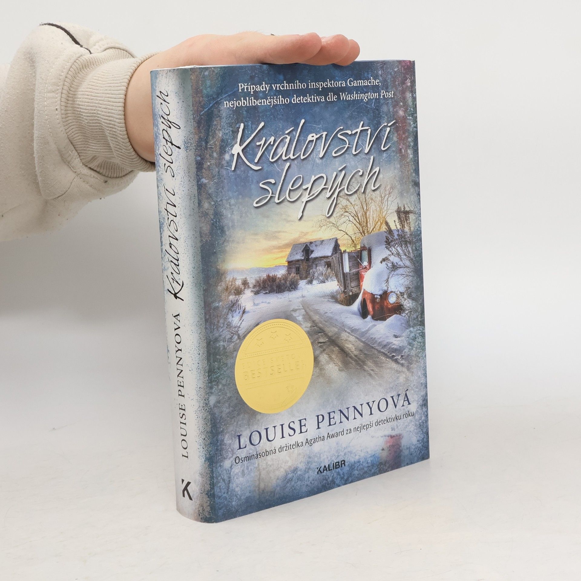 Louise Penny Království slepých