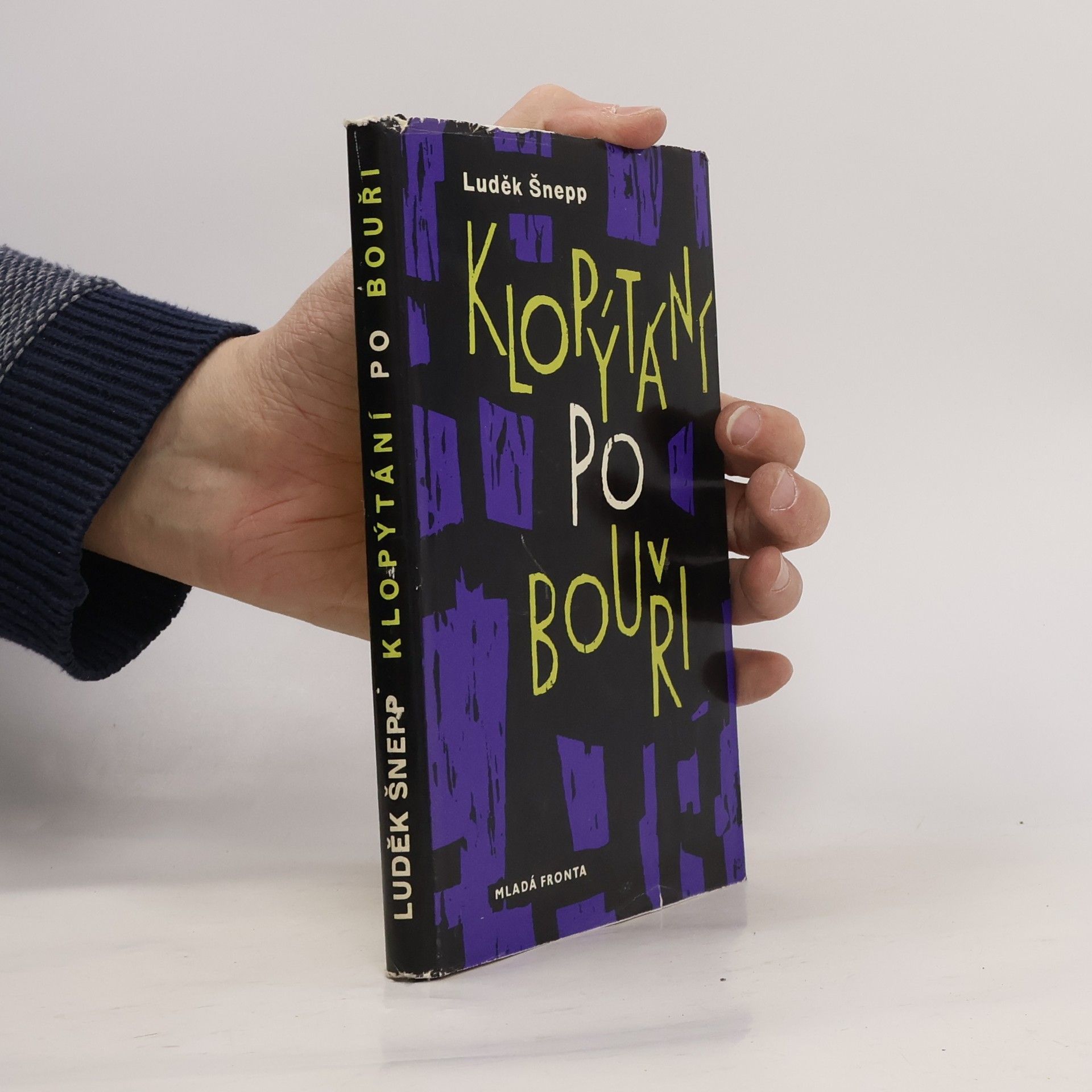 Luděk Šnepp Klopýtání po bouři