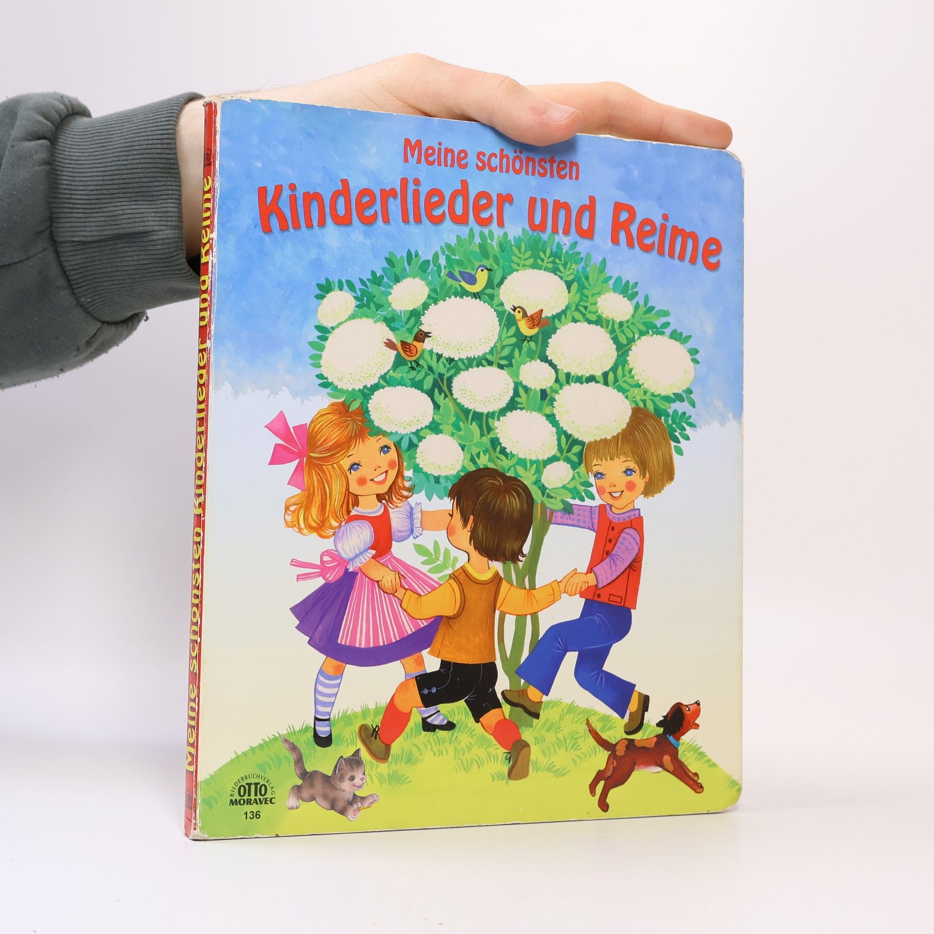 AA.VV. Meine schönsten Kinderlieder und Reime