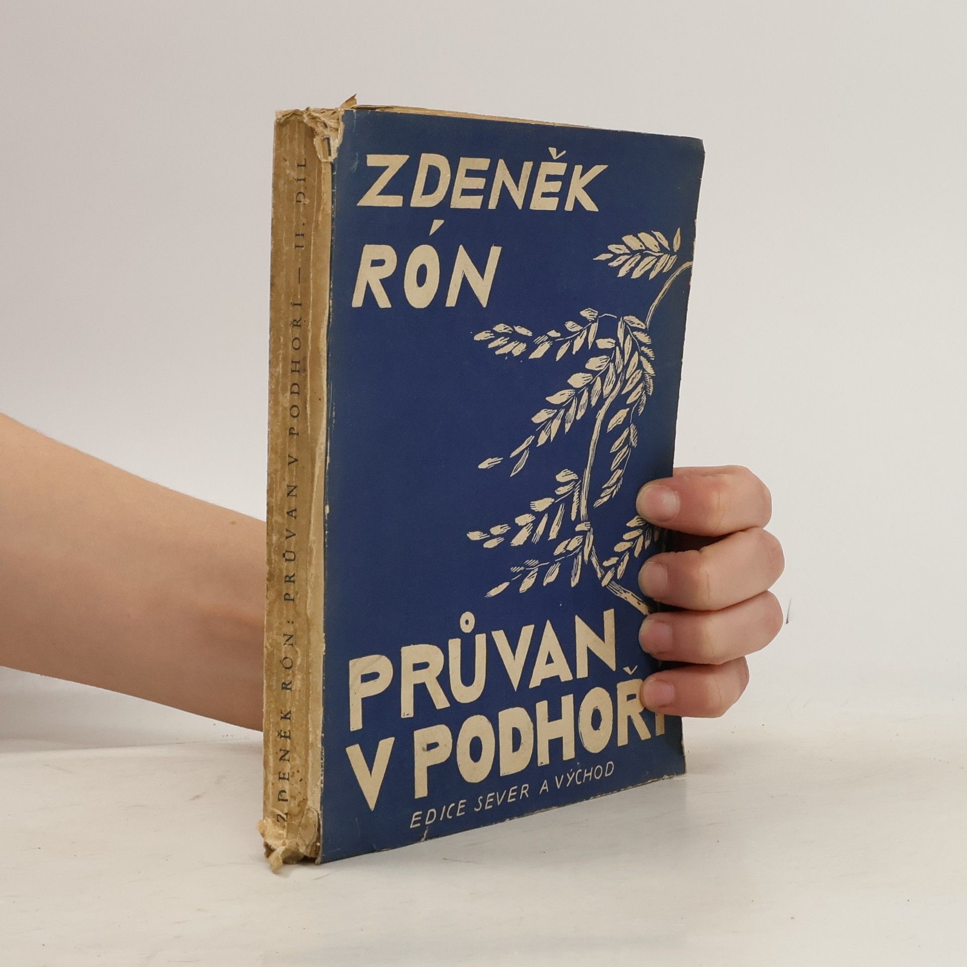 Rón Zdeněk Průvan v podhoří