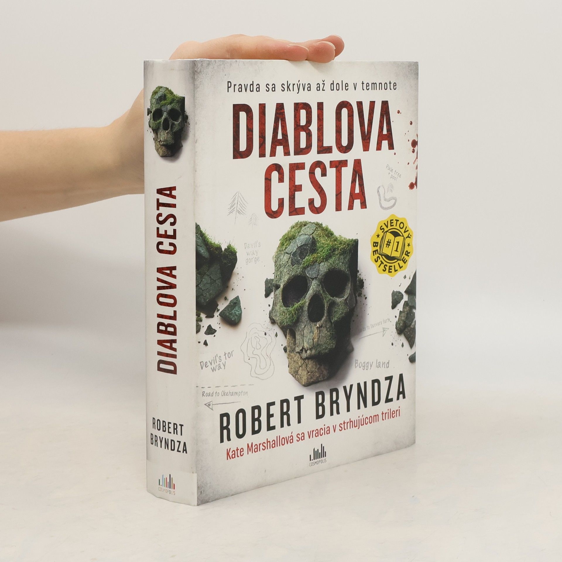 Robert Bryndza Diablova cesta