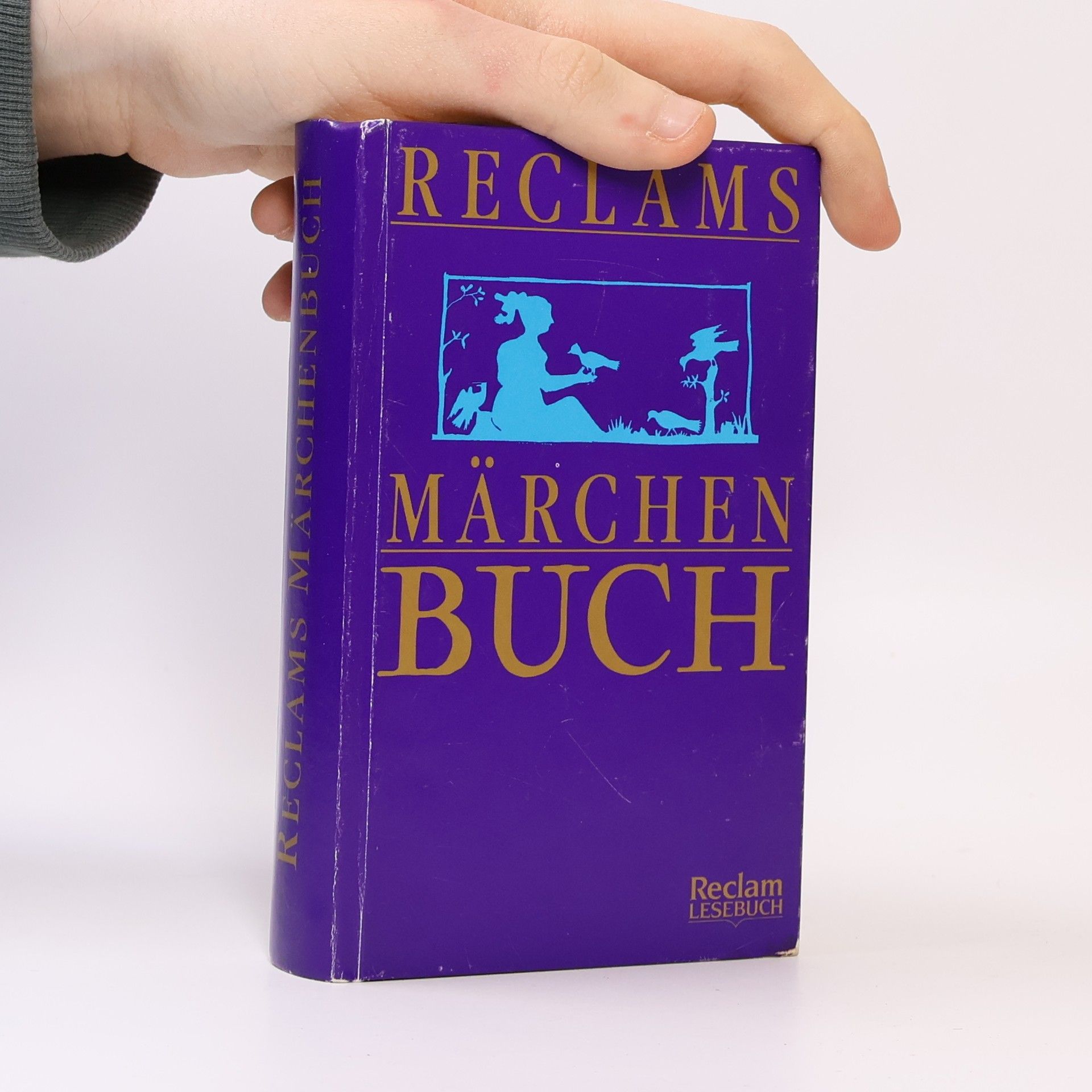 Lisa Paulsen Reclam Lesebuch: Reclams Märchenbuch