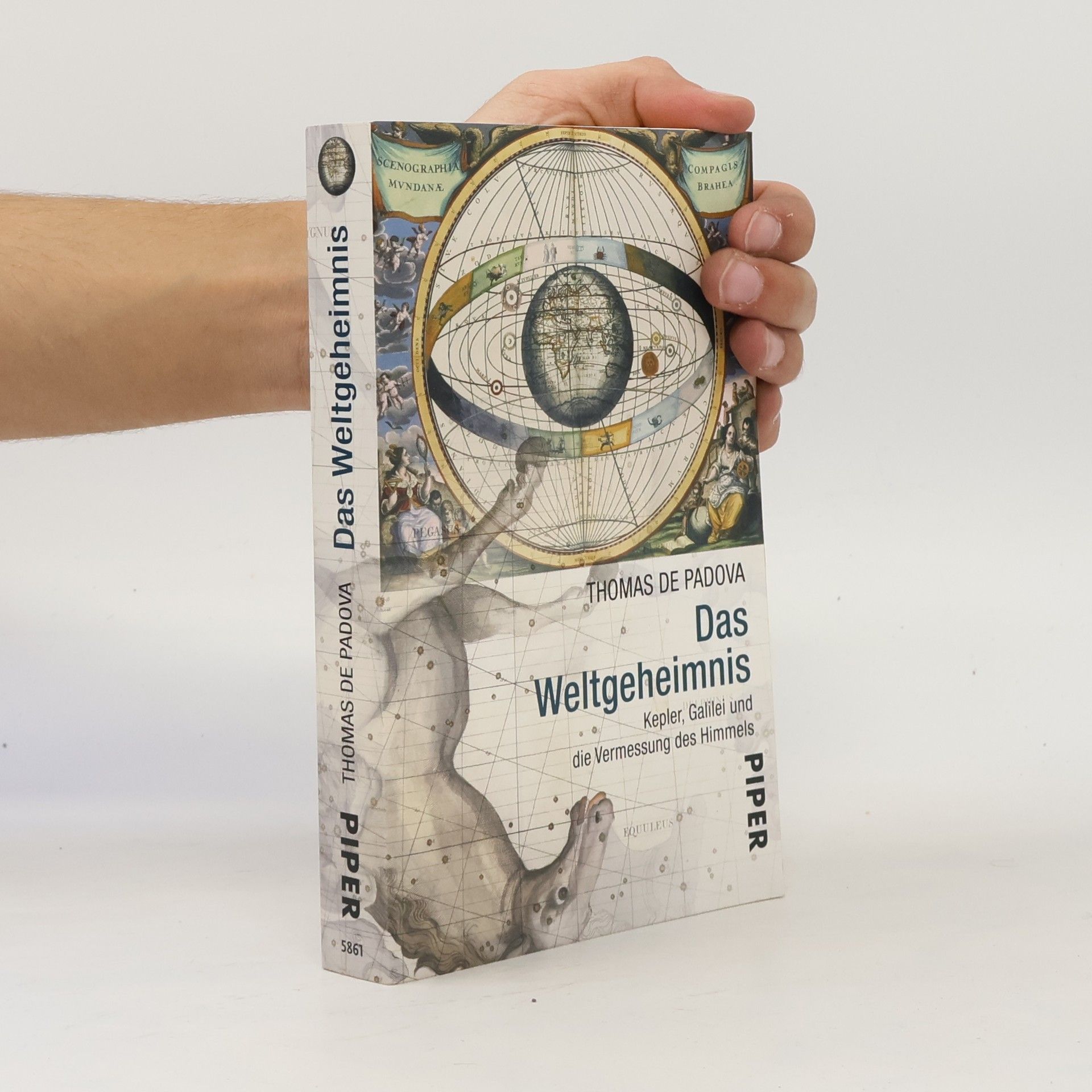 Thomas de Padova Das Weltgeheimnis