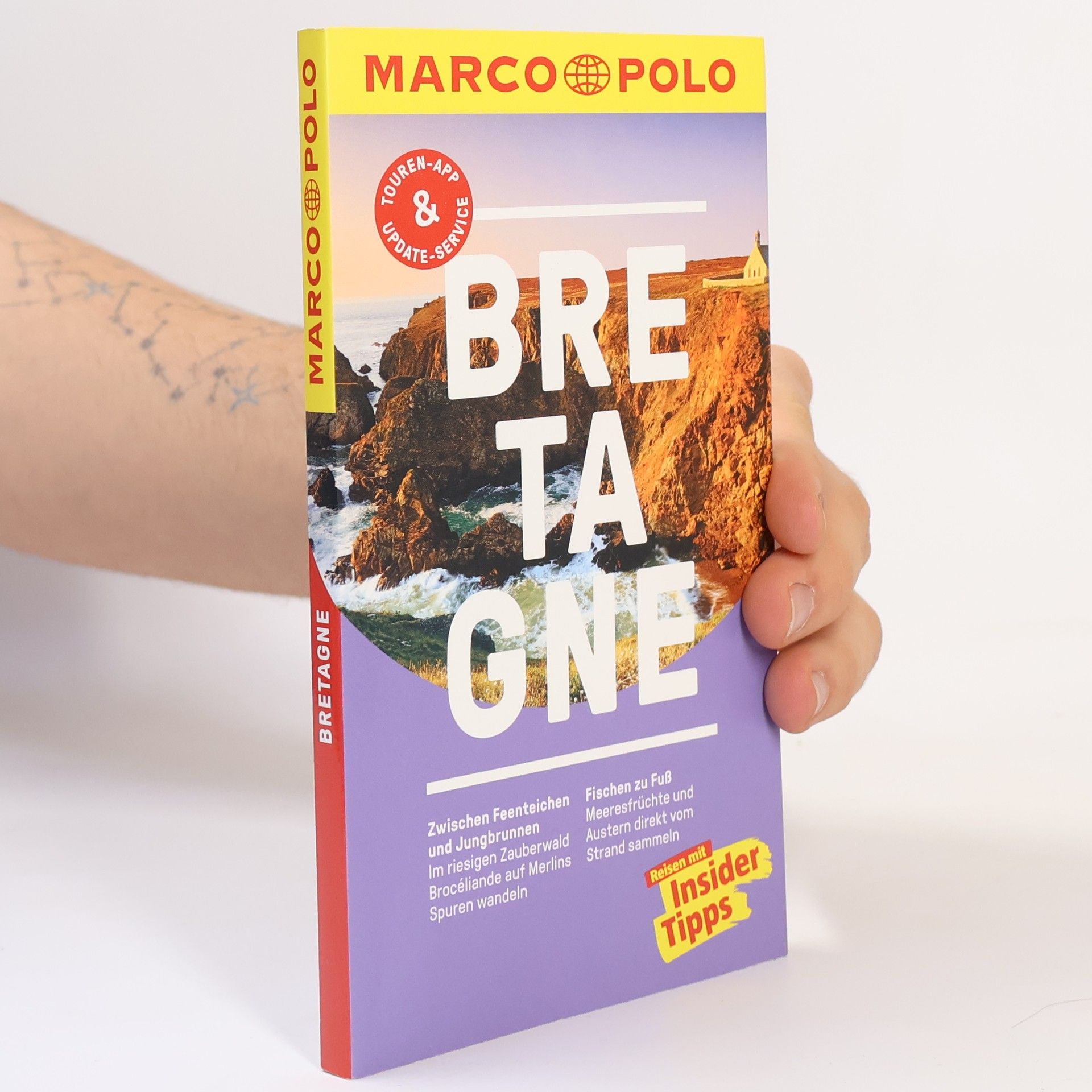 Errol Friedhelm Karakoc Bretagne