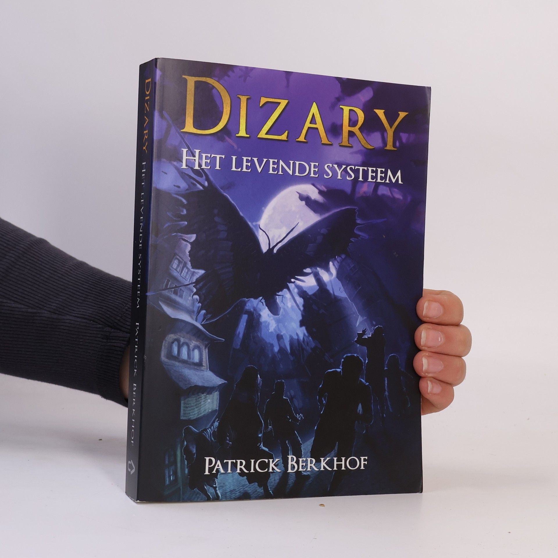 Patrick Berkhof Dizary - Het levende systeem