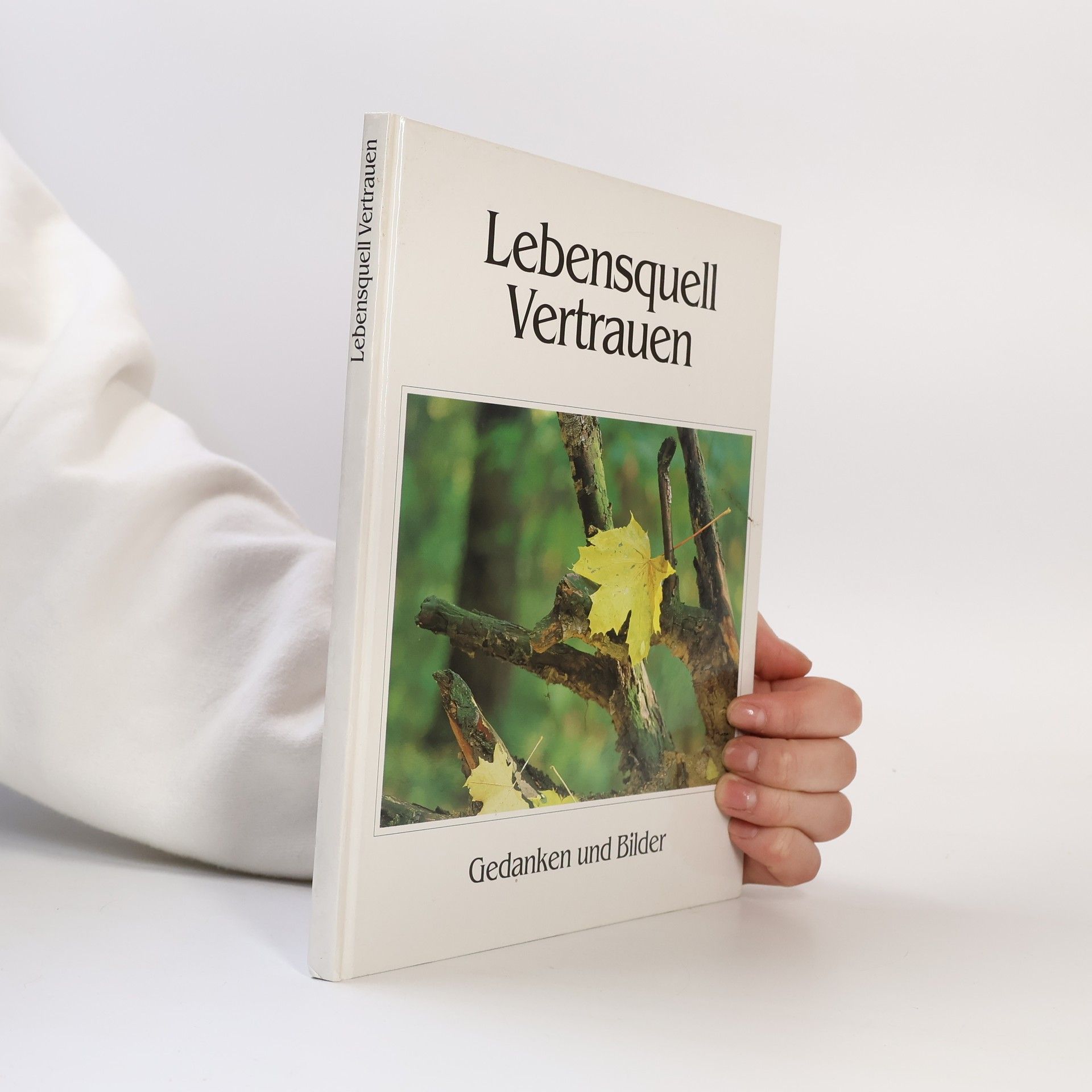 Steffen Thost Lebensquell Vetrauen