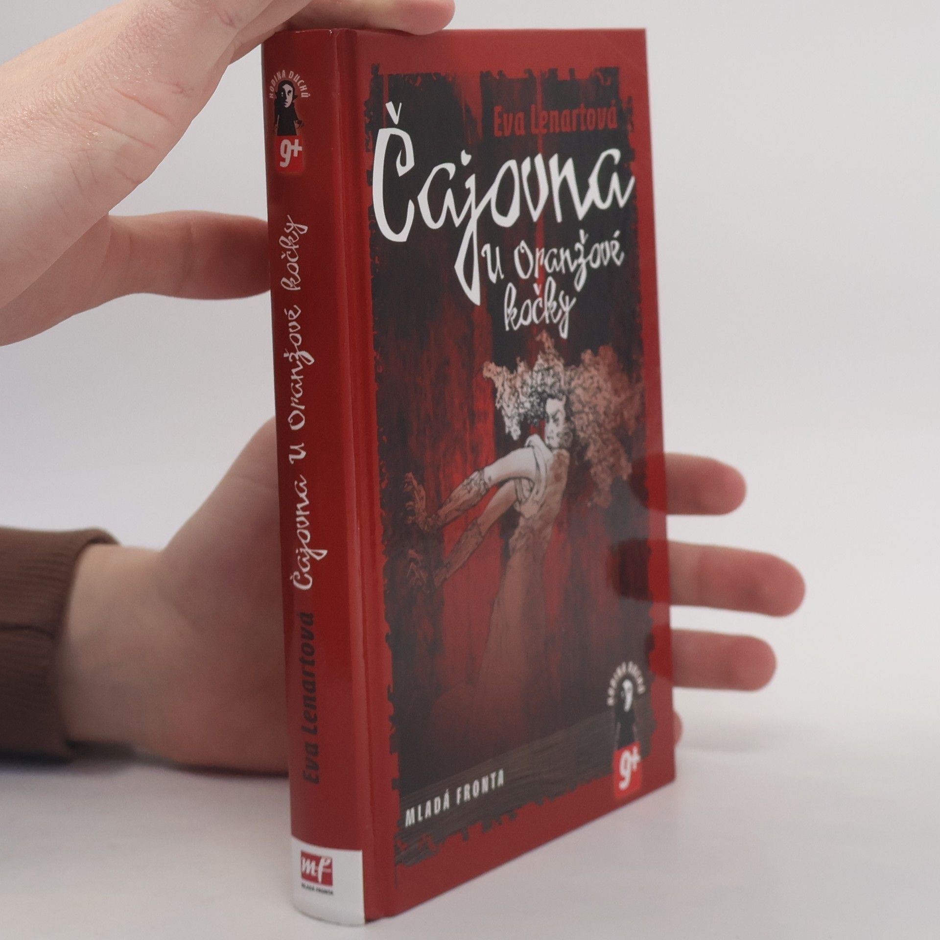 Eva Lenartová Čajovna U Oranžové kočky