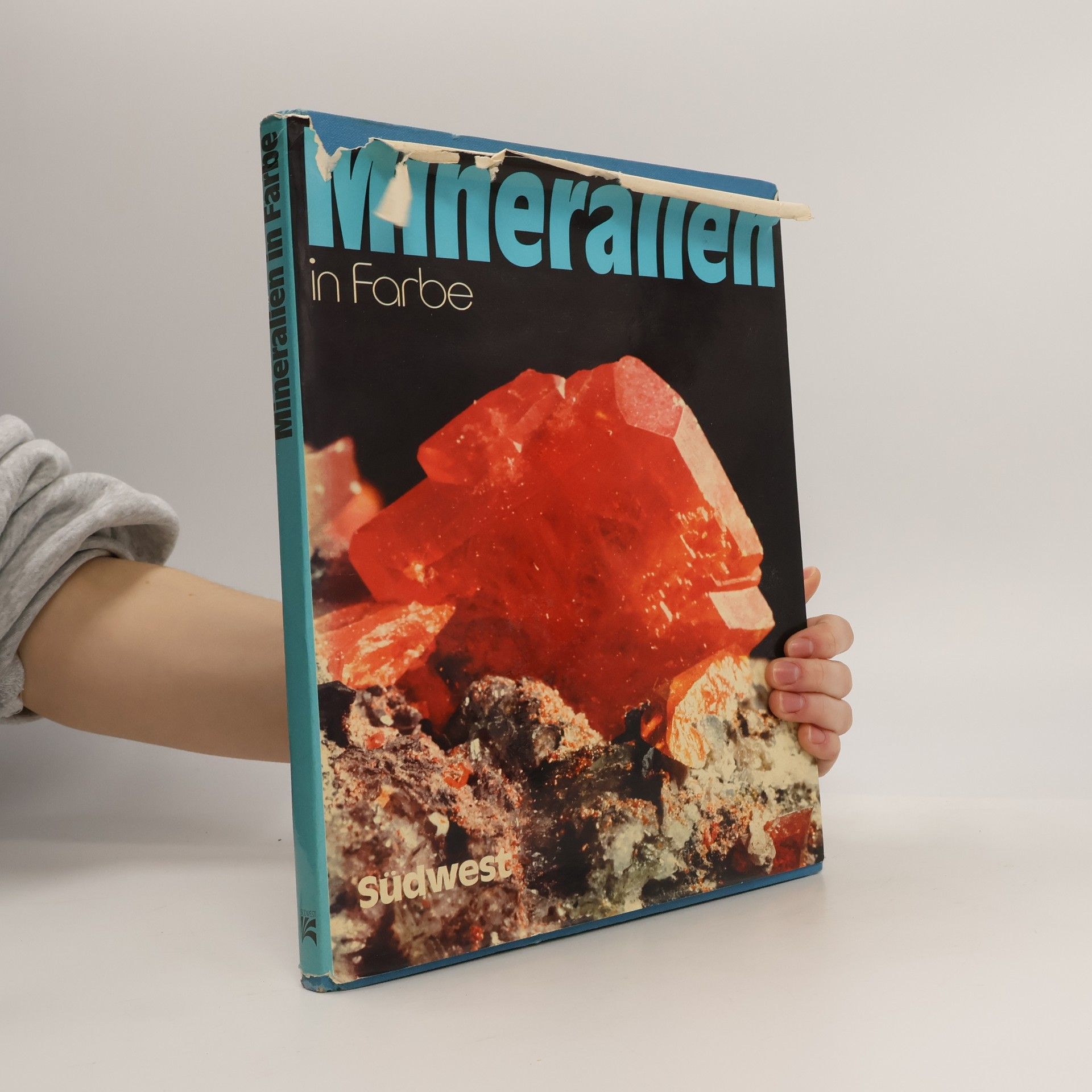 Vincenzo De Michele Mineralien in Farbe