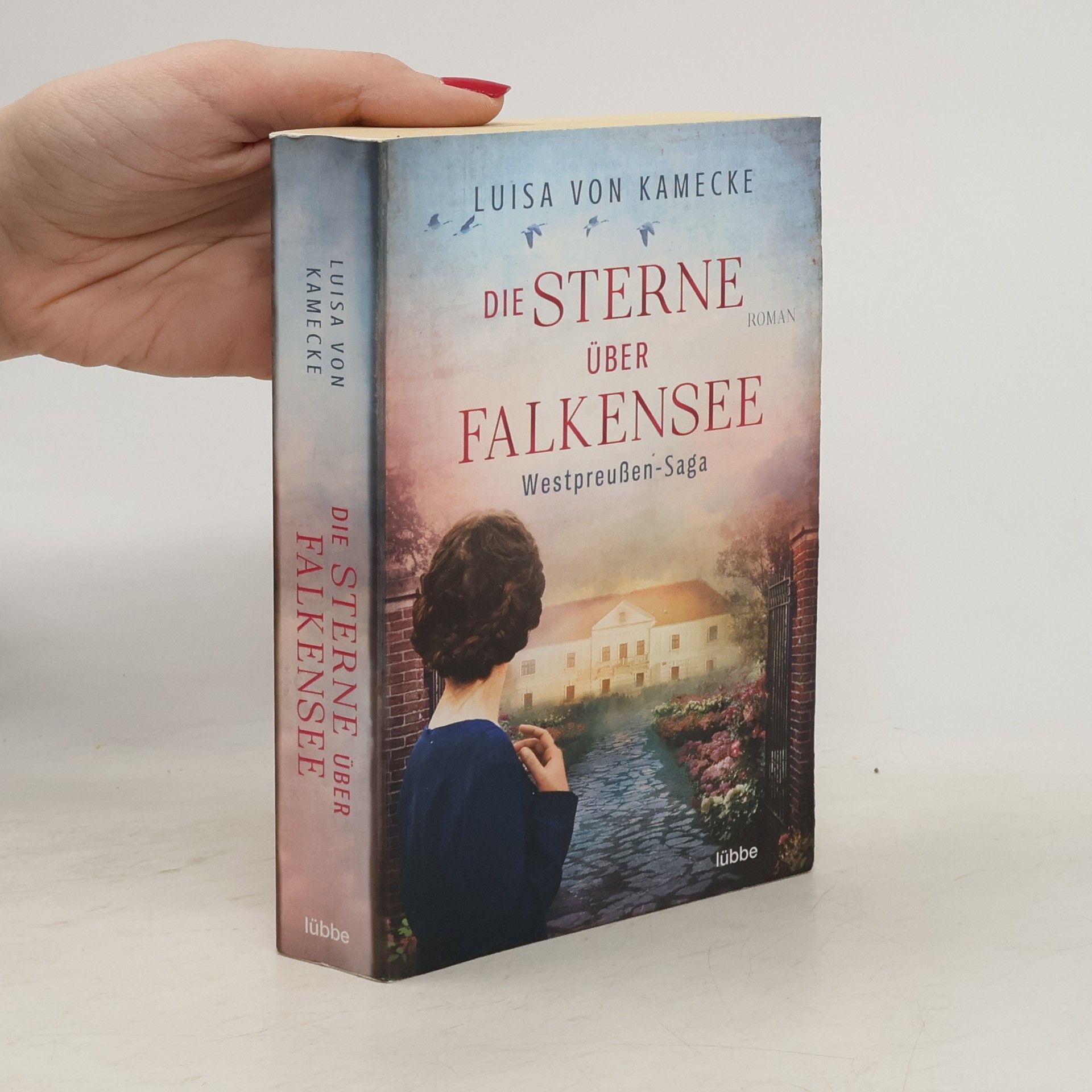 Luisa von Kamecke Die Sterne über Falkensee