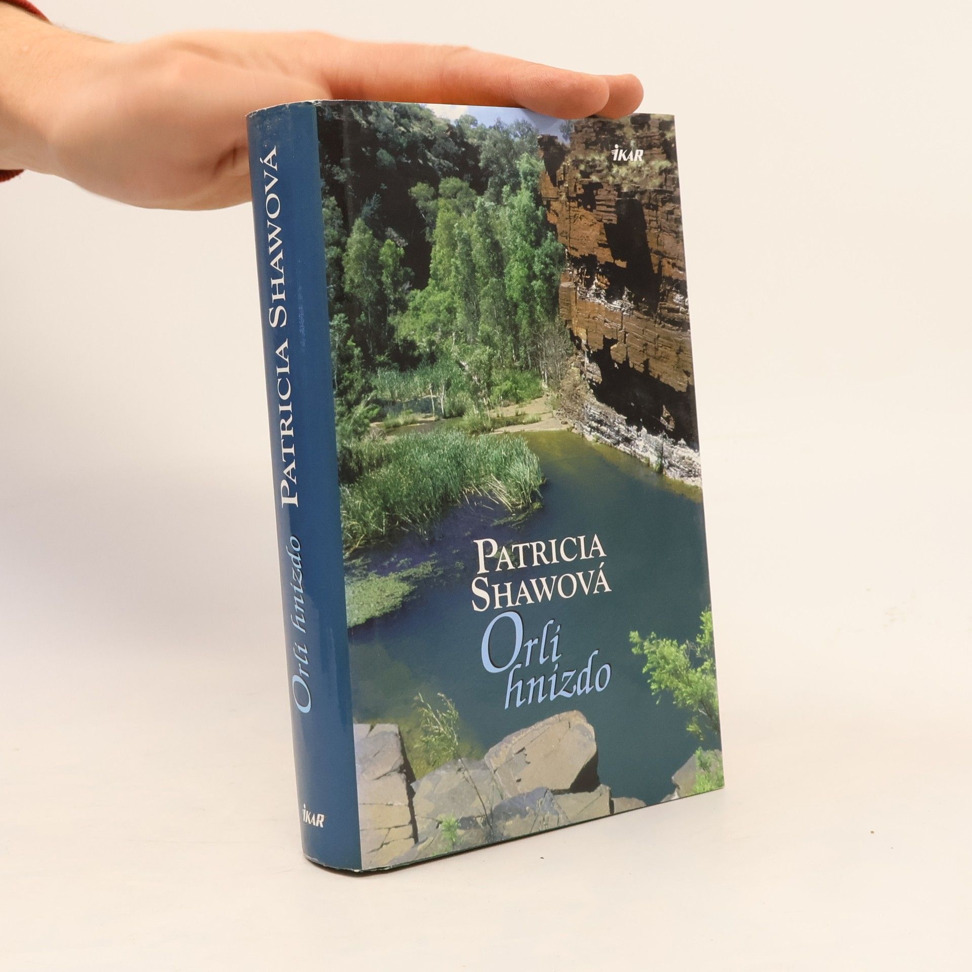 Patricia Shaw Orlí hnízdo