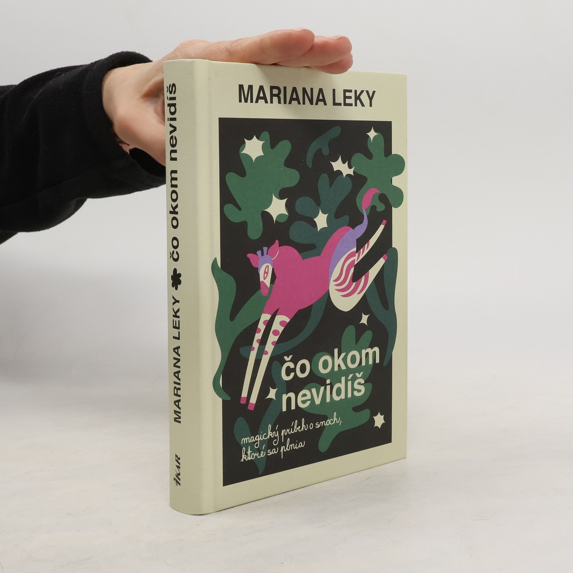 Mariana Leky Čo okom nevidíš