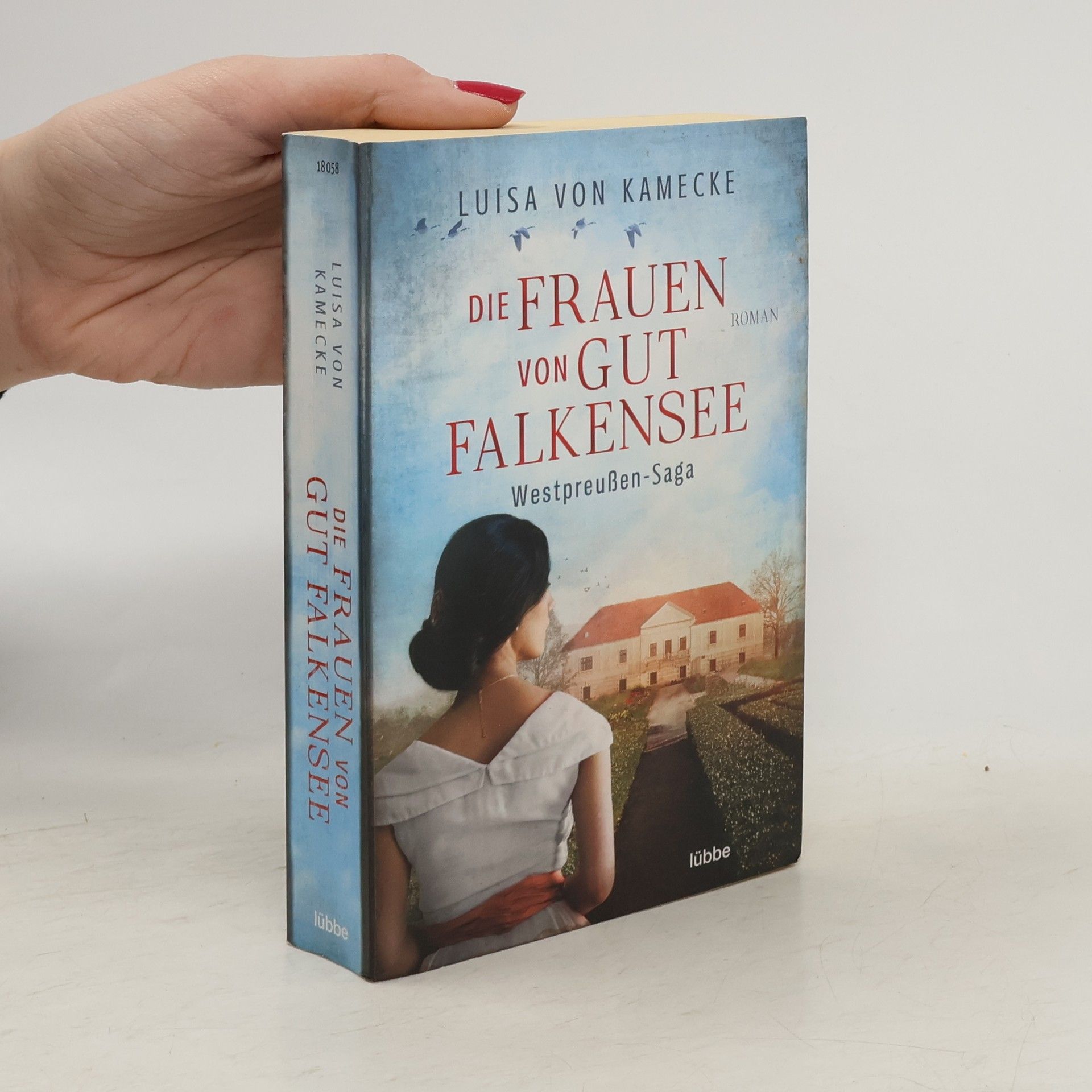 Luisa von Kamecke Die Frauen von Gut Falkensee