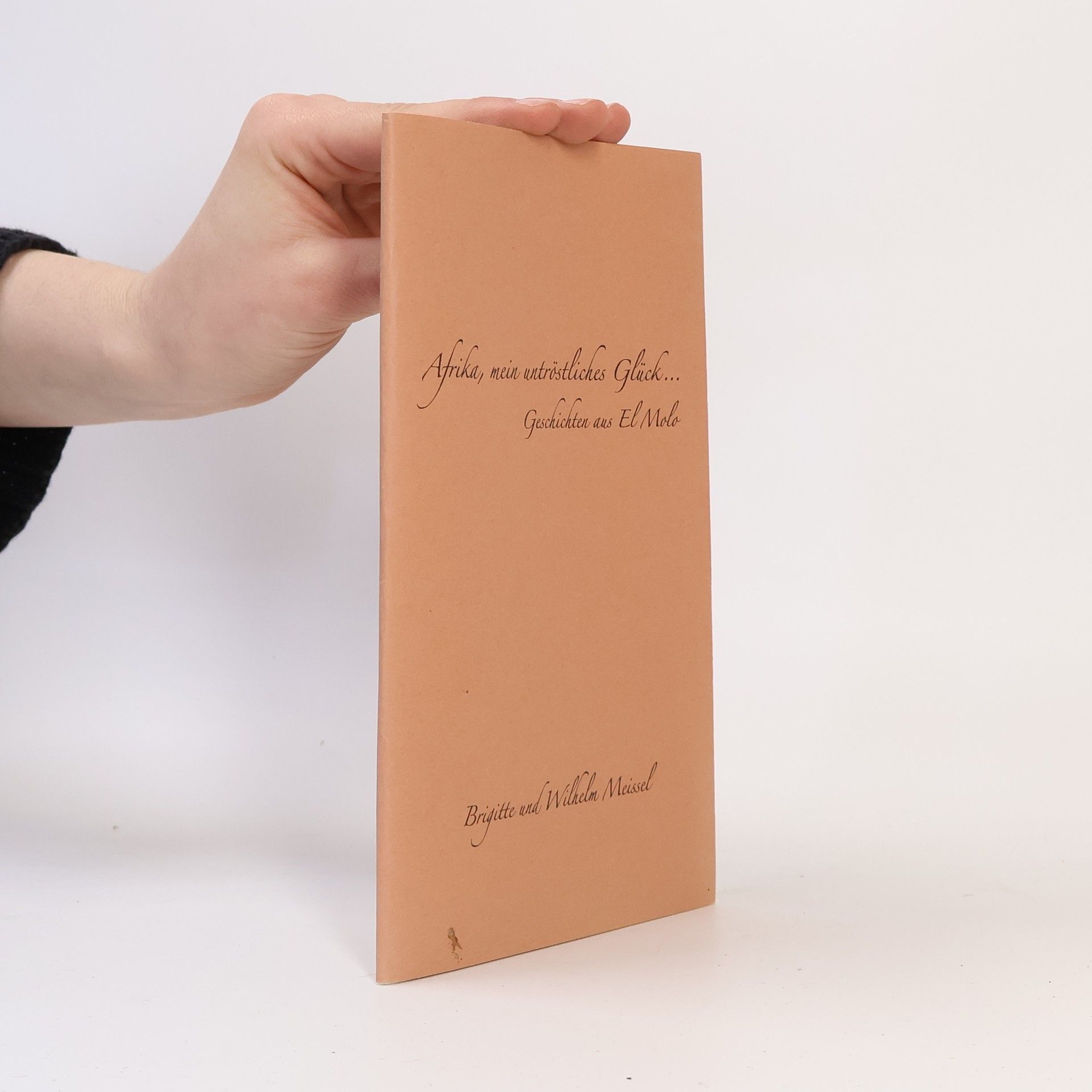 Brigitte Meissel Afrika, mein untröstliches Glück...