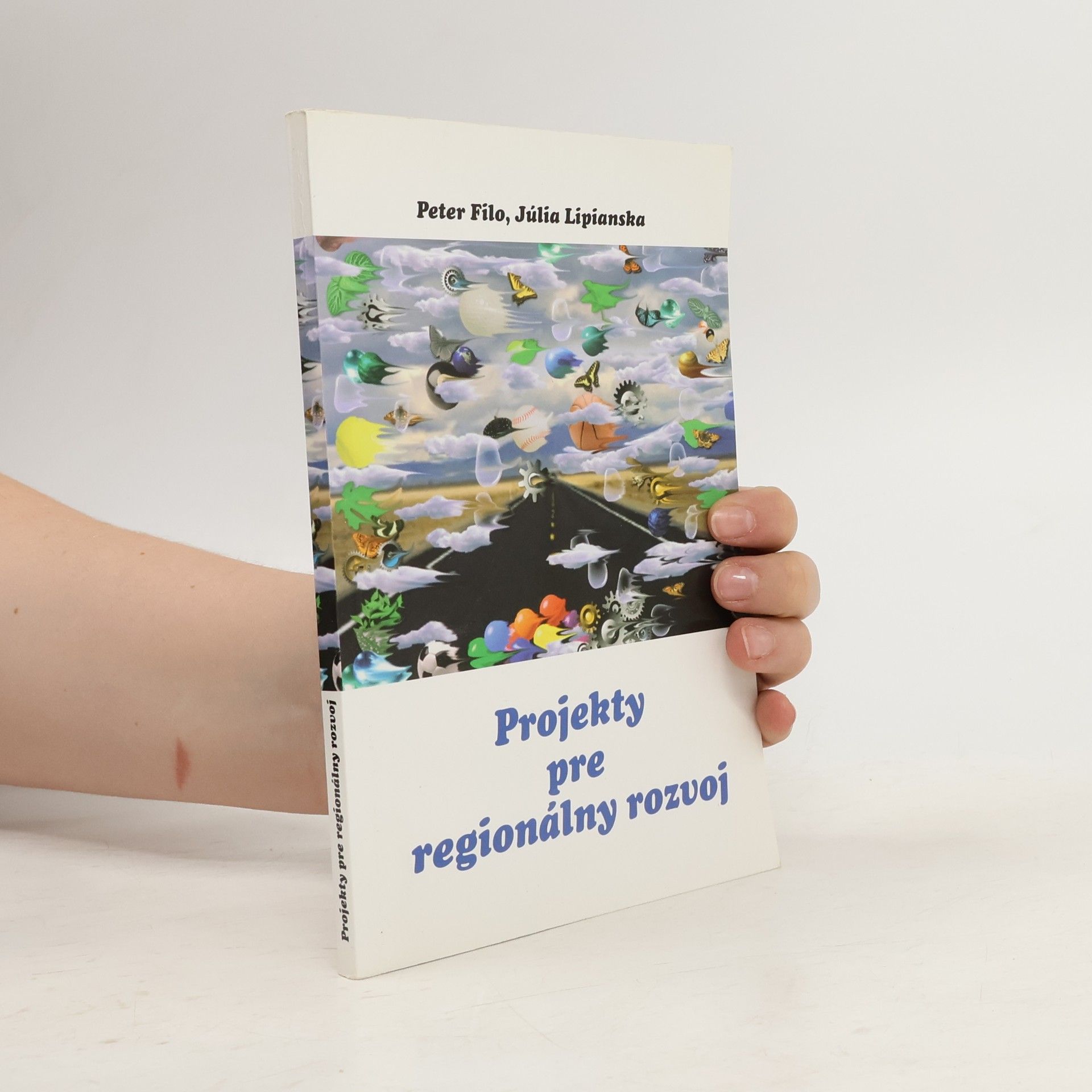 Projekty pre regionálny rozvoj