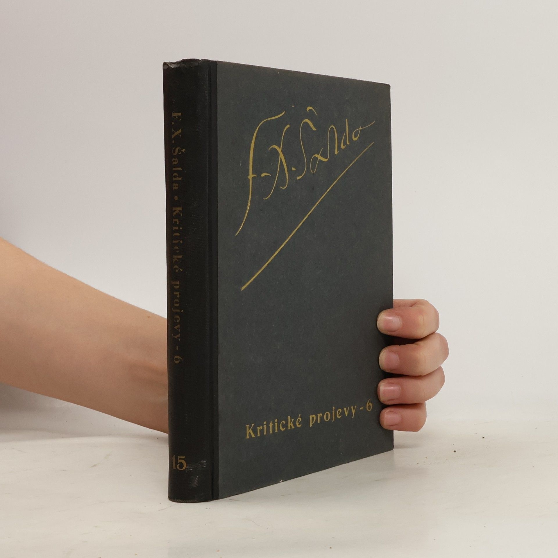 František Xaver Šalda Soubor díla. sv.15, Kritické projevy 6. 1905-1907