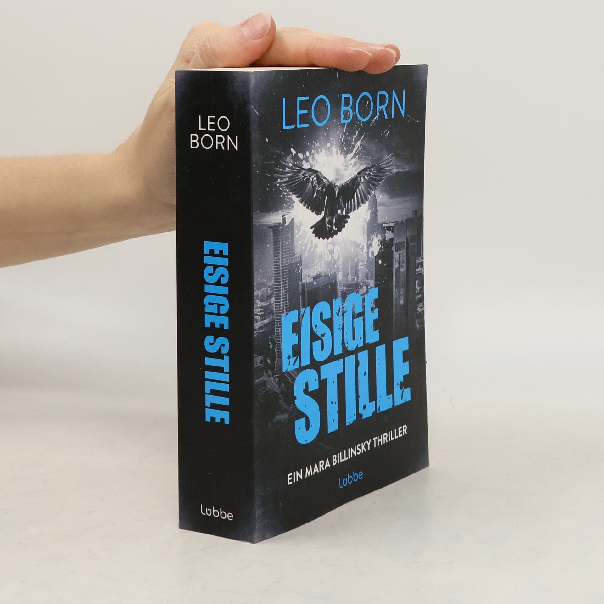 Eisige Stille. Ein Mara-Billinsky-Thriller