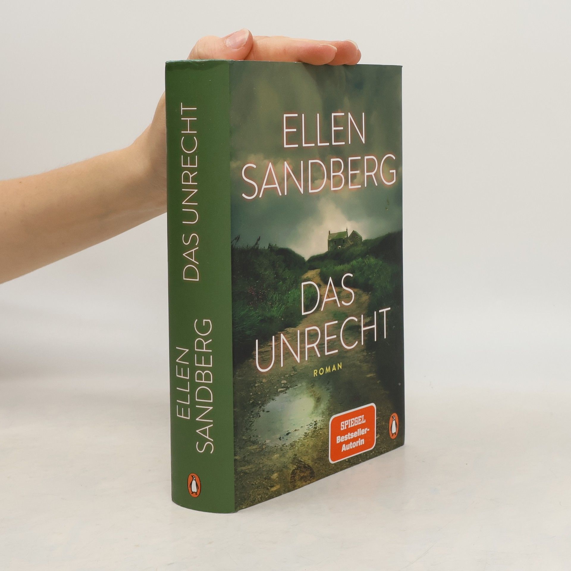 Ellen Sandberg Das Unrecht