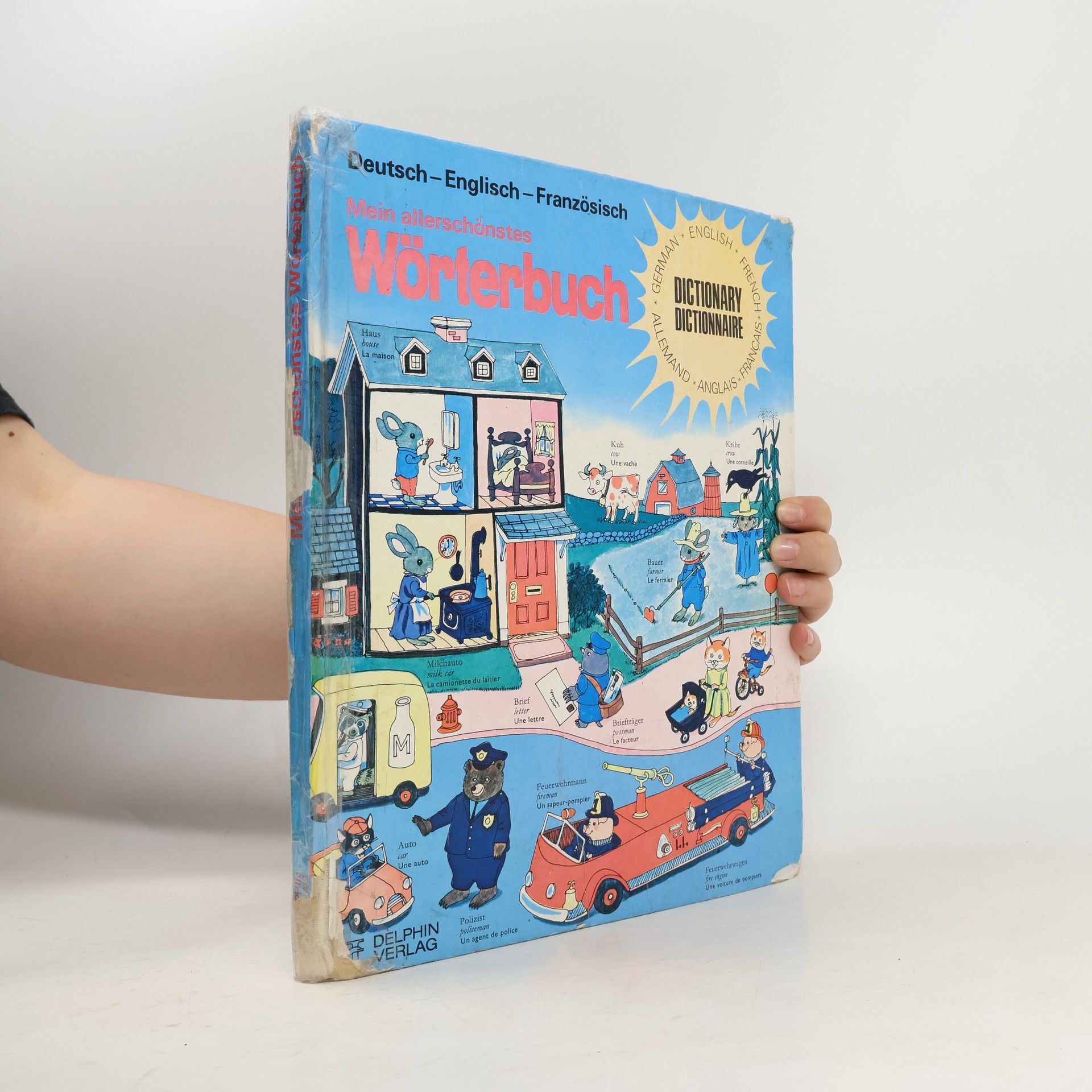 Autorenkollektiv Mein allerschönstes Wörterbuch - mit mehr als 1200 bunten Zeichnungen und Wörten - Deutsch, English, Französisch