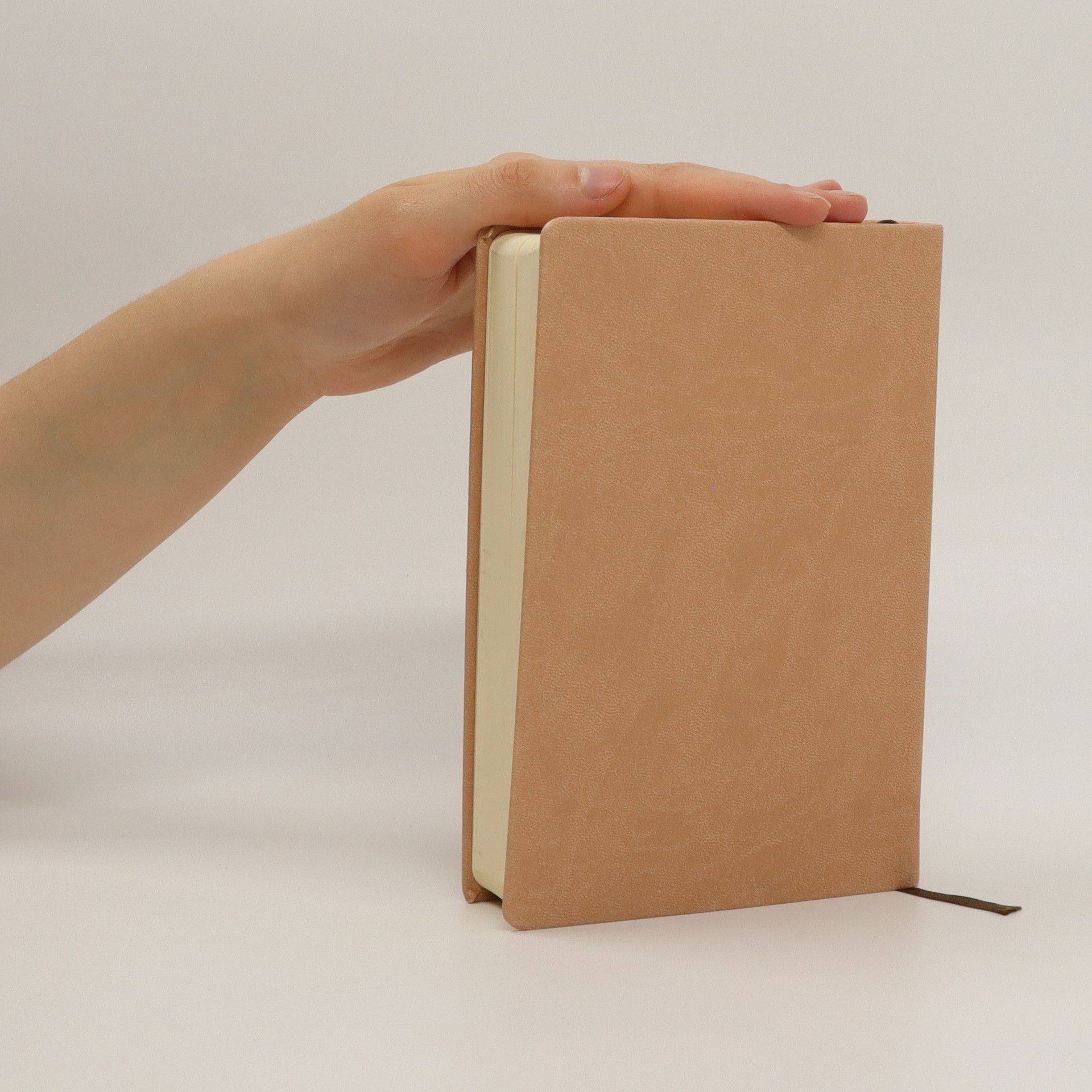 Various authors Bible