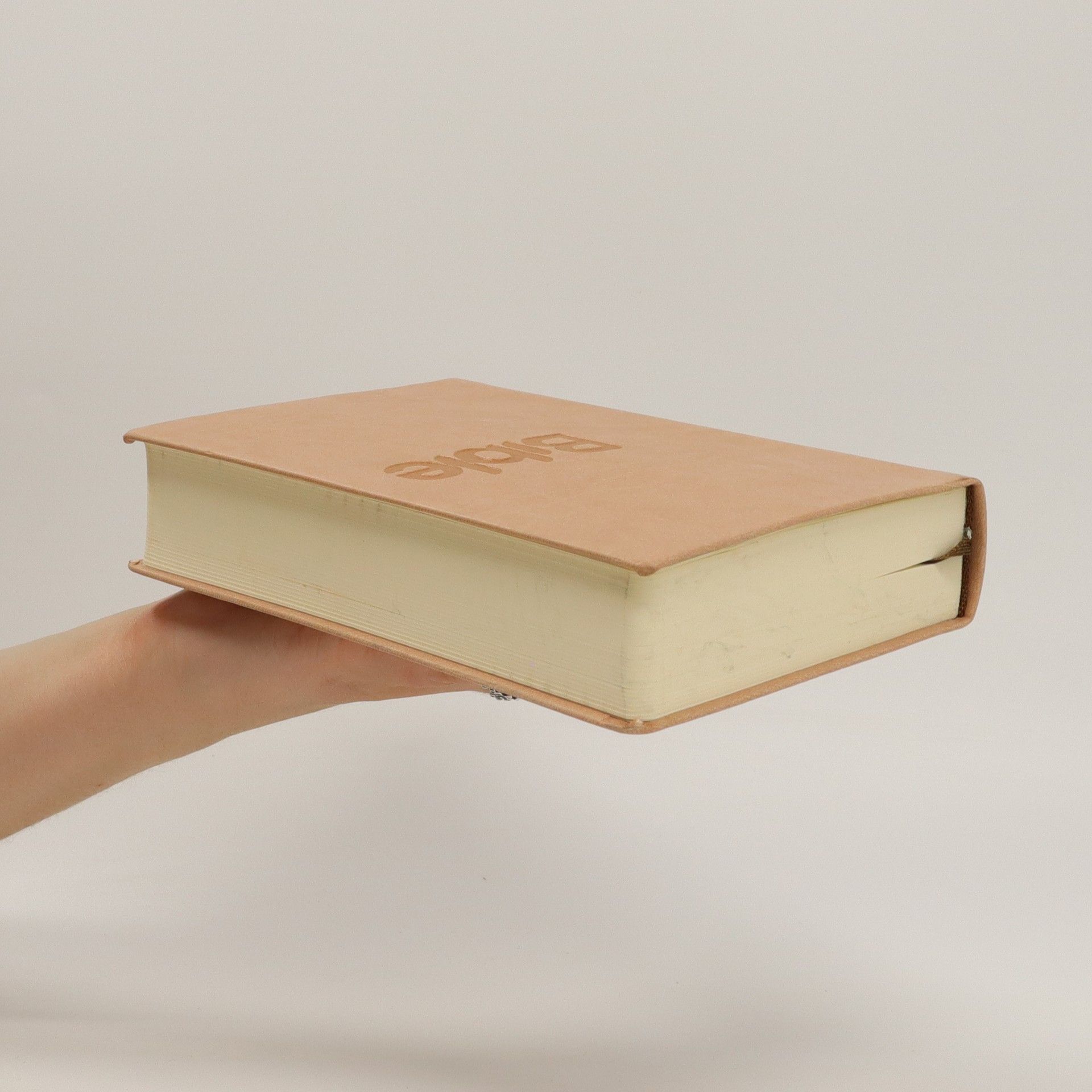 Various authors Bible
