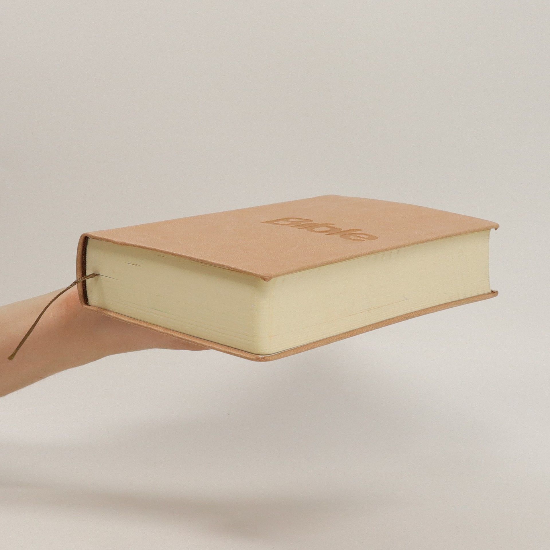 Various authors Bible