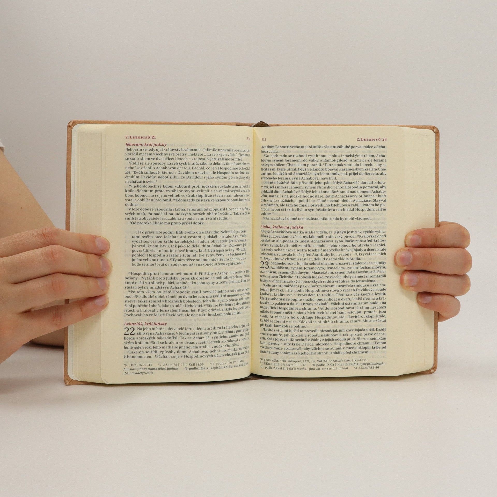 Various authors Bible