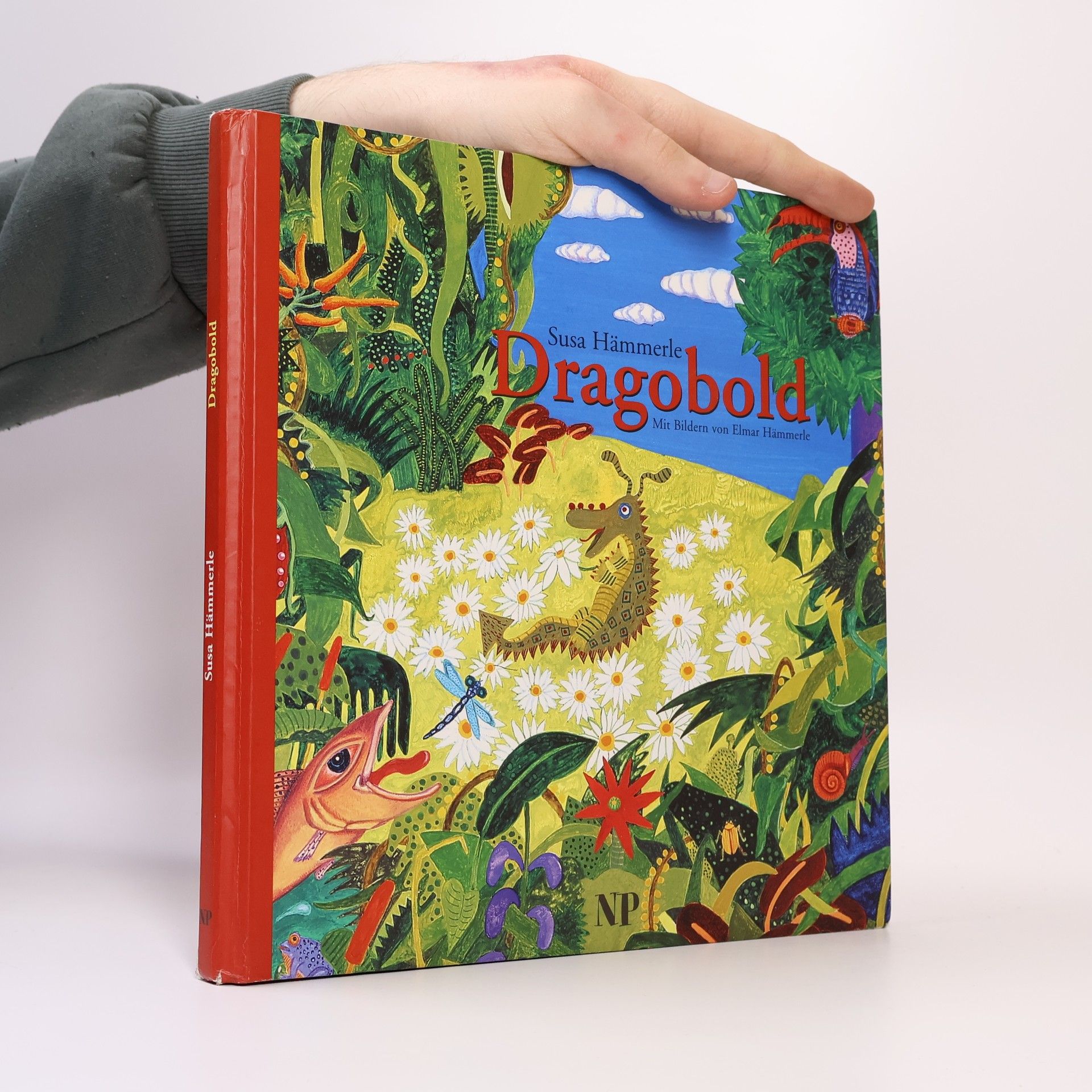 Susa Hämmerle Dragobold