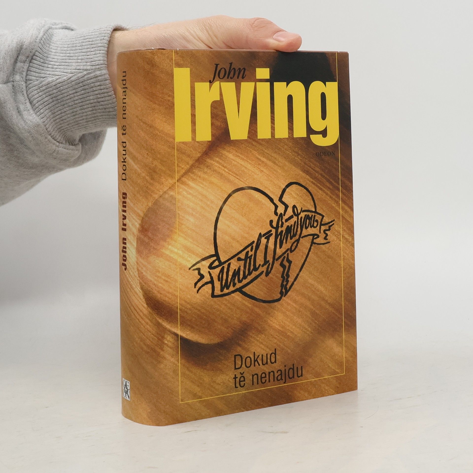 John Irving Dokud tě nenajdu