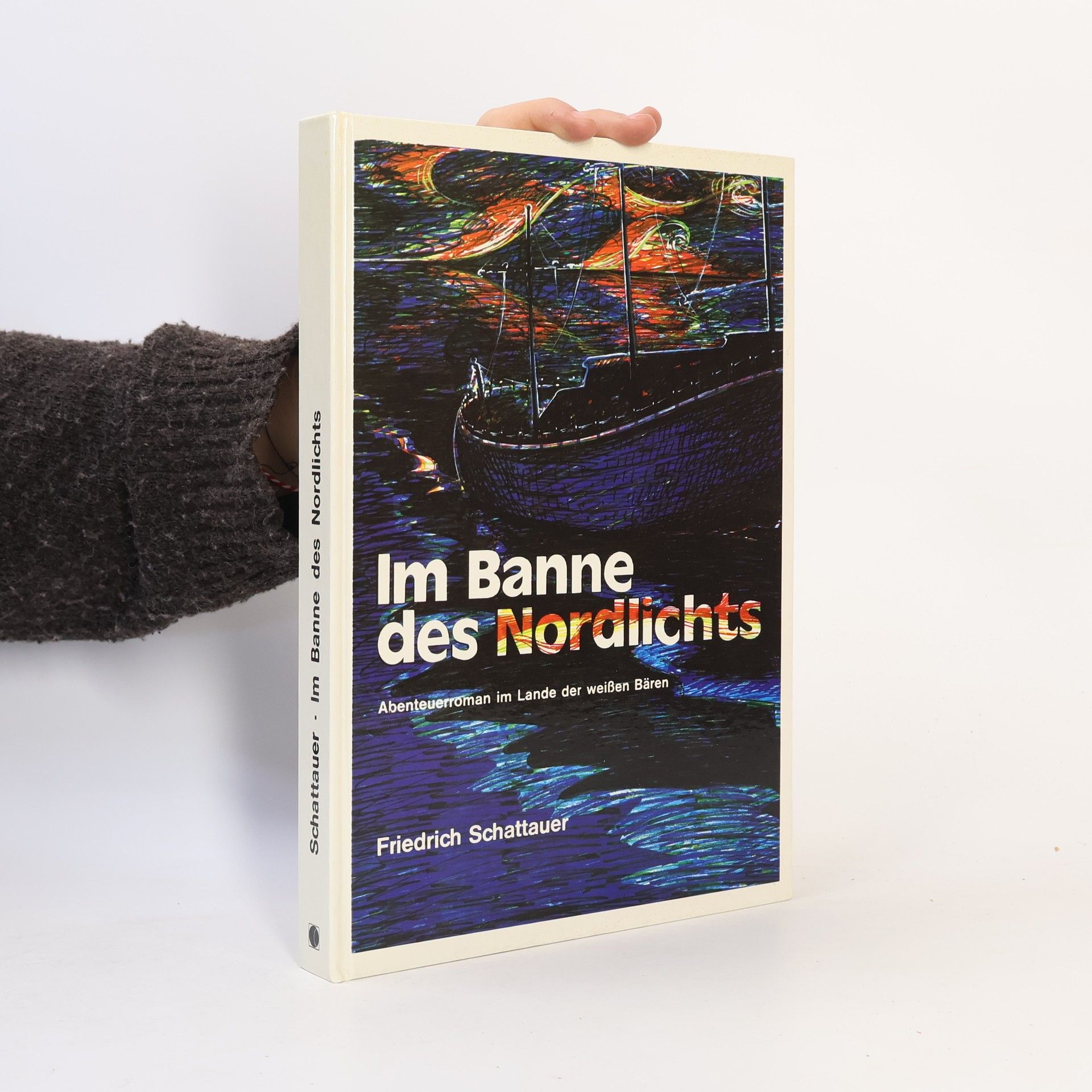 Friedrich Schattauer Im Banne des Nordlichts