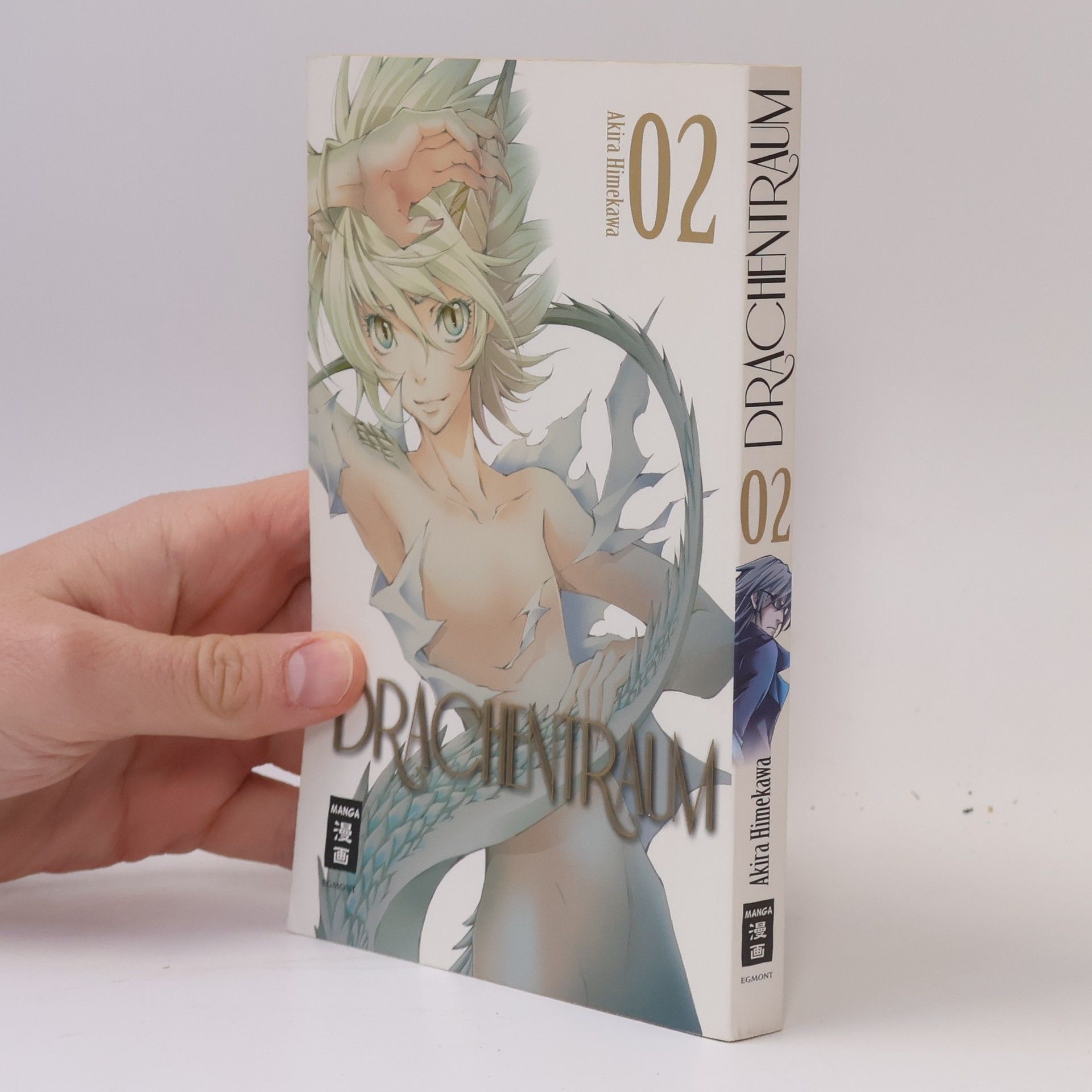 Akira Himekawa Drachentraum 2