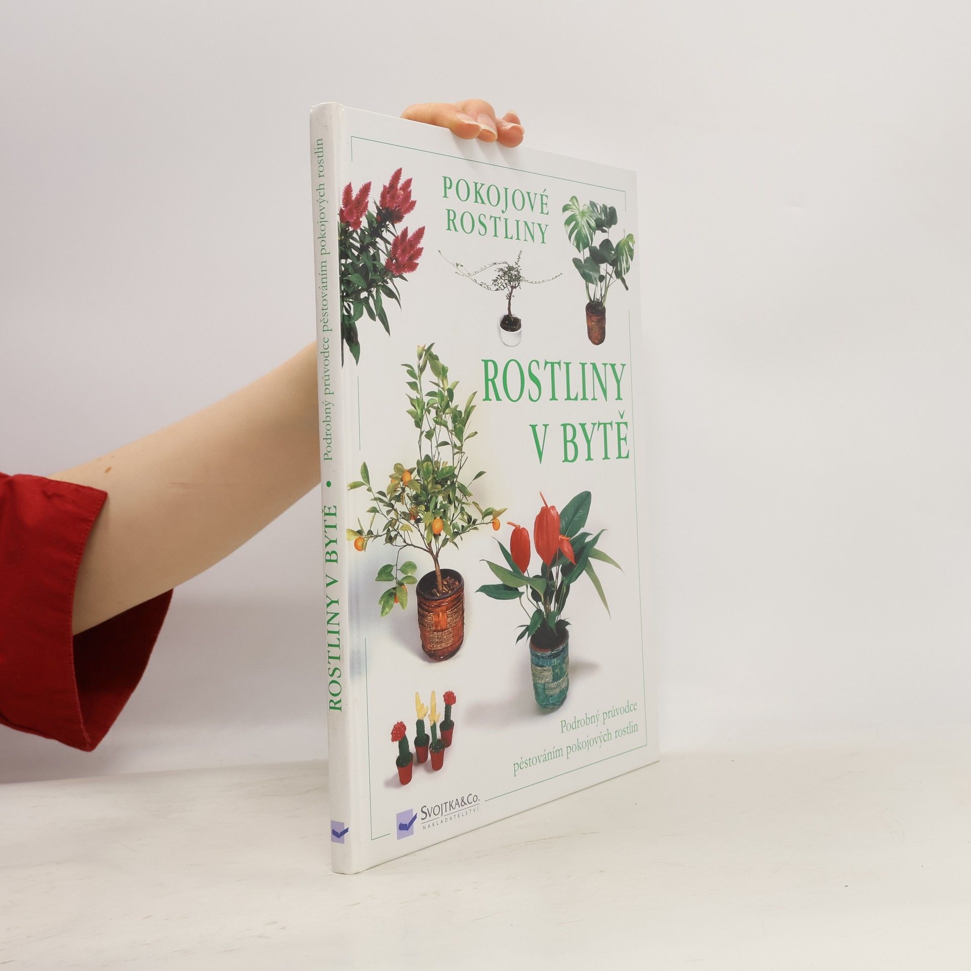 kolektiv Rostliny v bytě. Pokojové rostliny