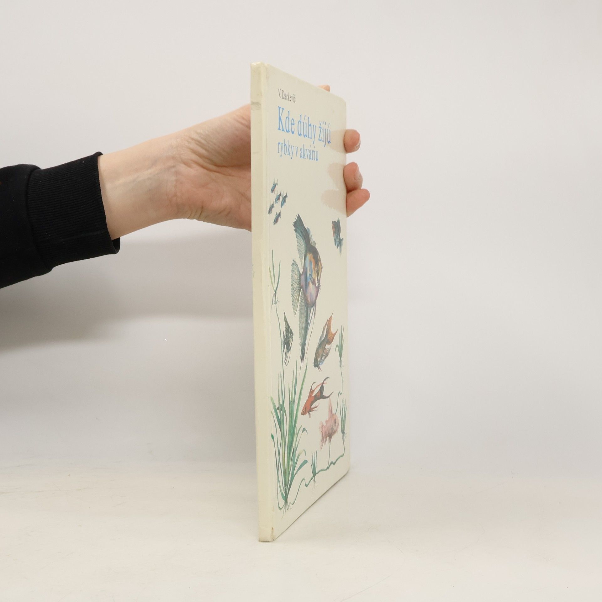 V. Dackevič Kde dúhy žijú. Rybky v akváriu