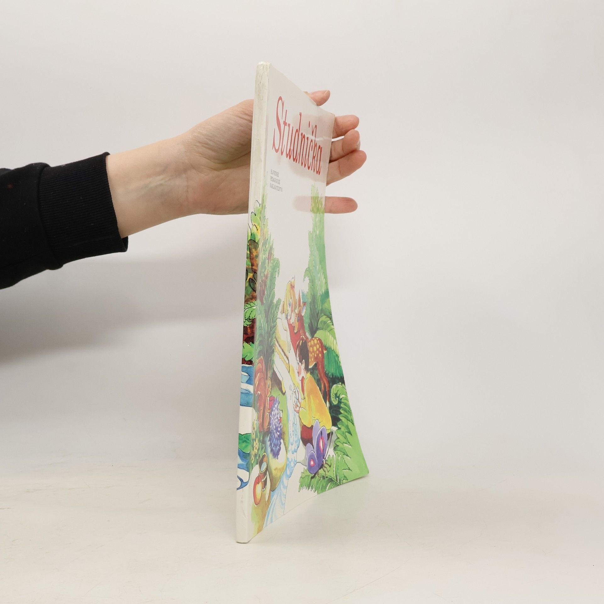 Ondrej Sliacky Studnička