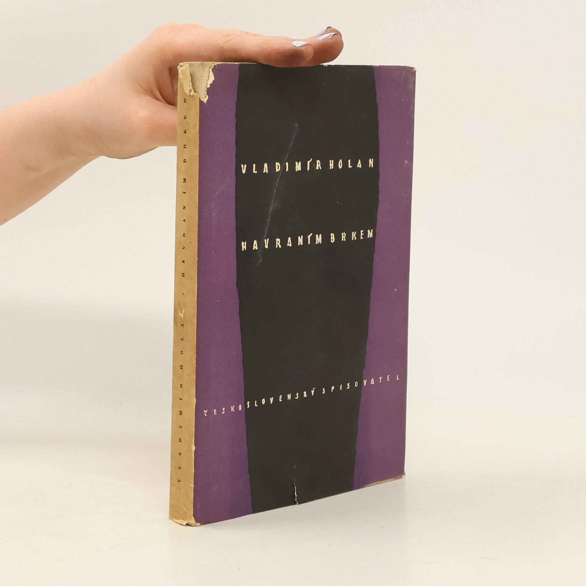 Vladimír Holan Havraním brkem