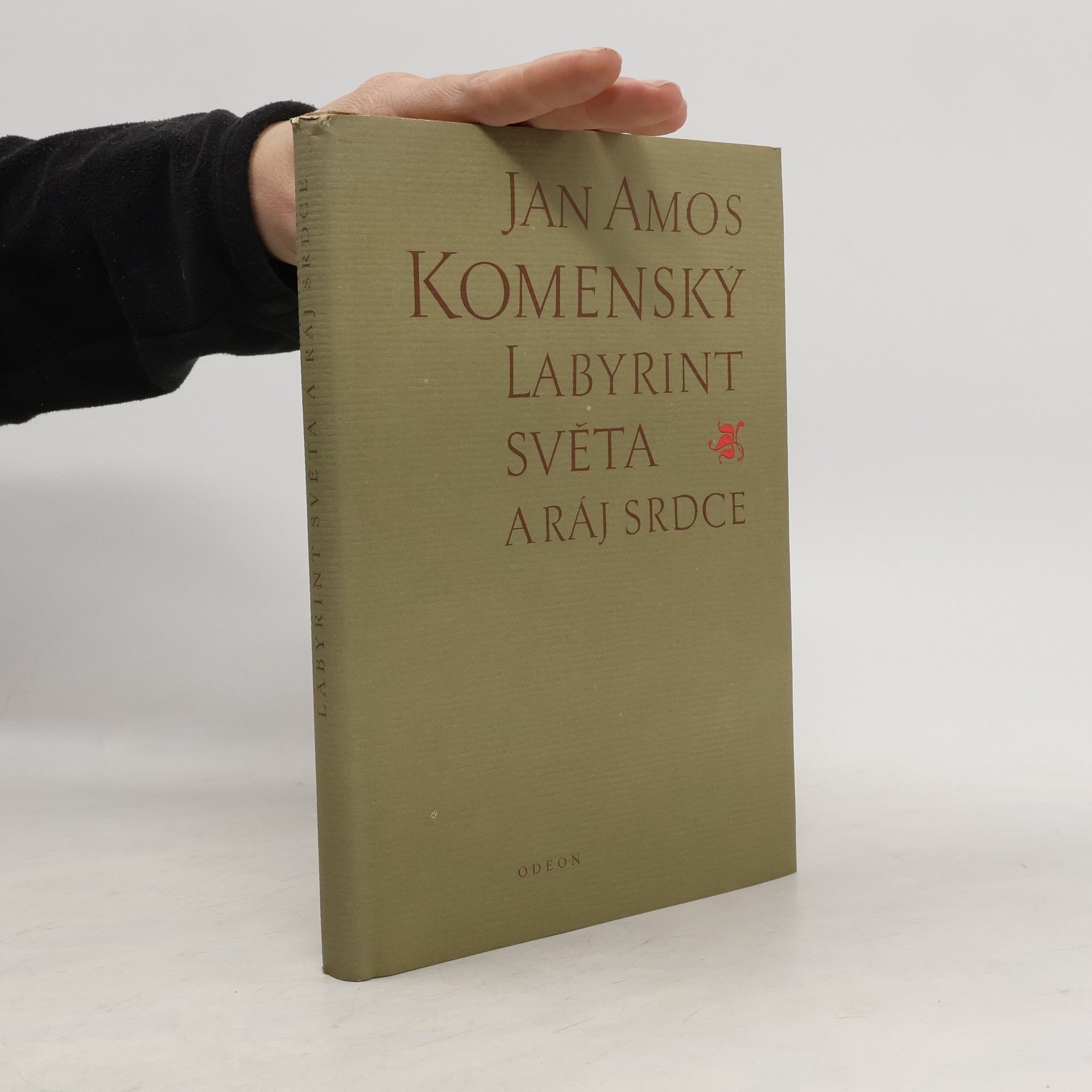Jan Amos Komenský Labyrint světa a ráj srdce