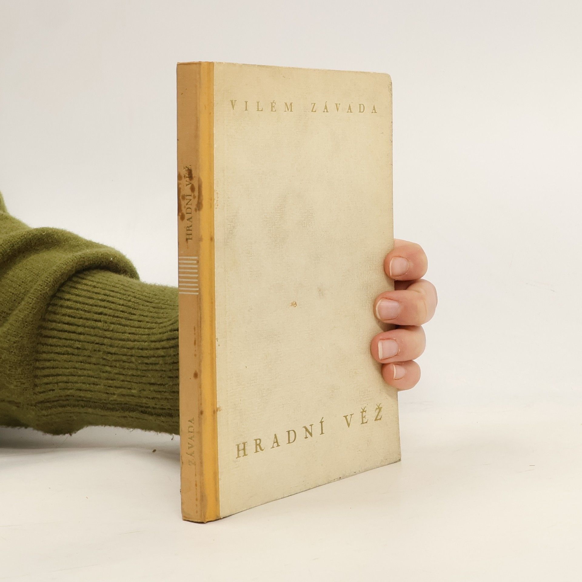 Vilém Závada Hradní věž