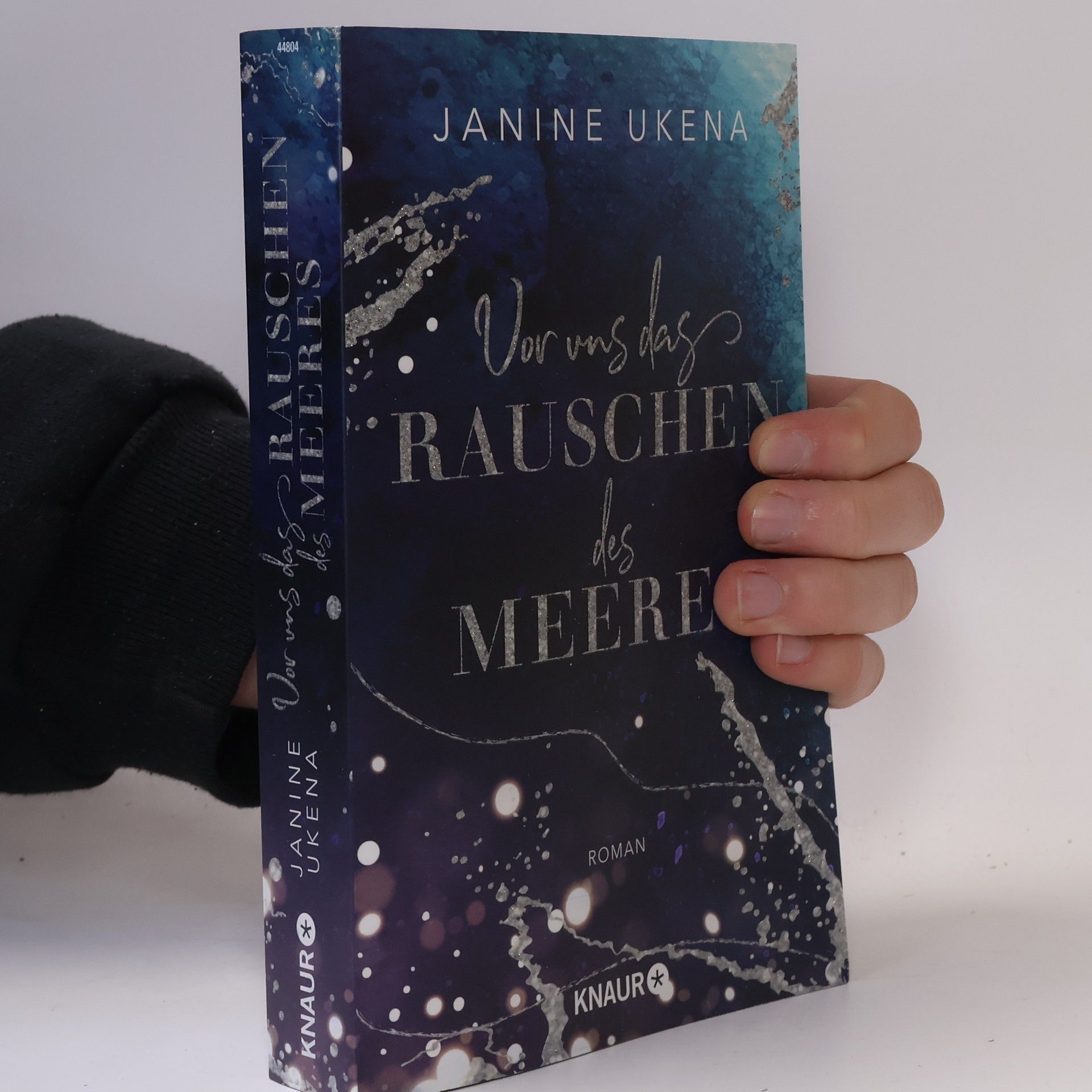 Janine Ukena Vor uns das Rauschen des Meeres