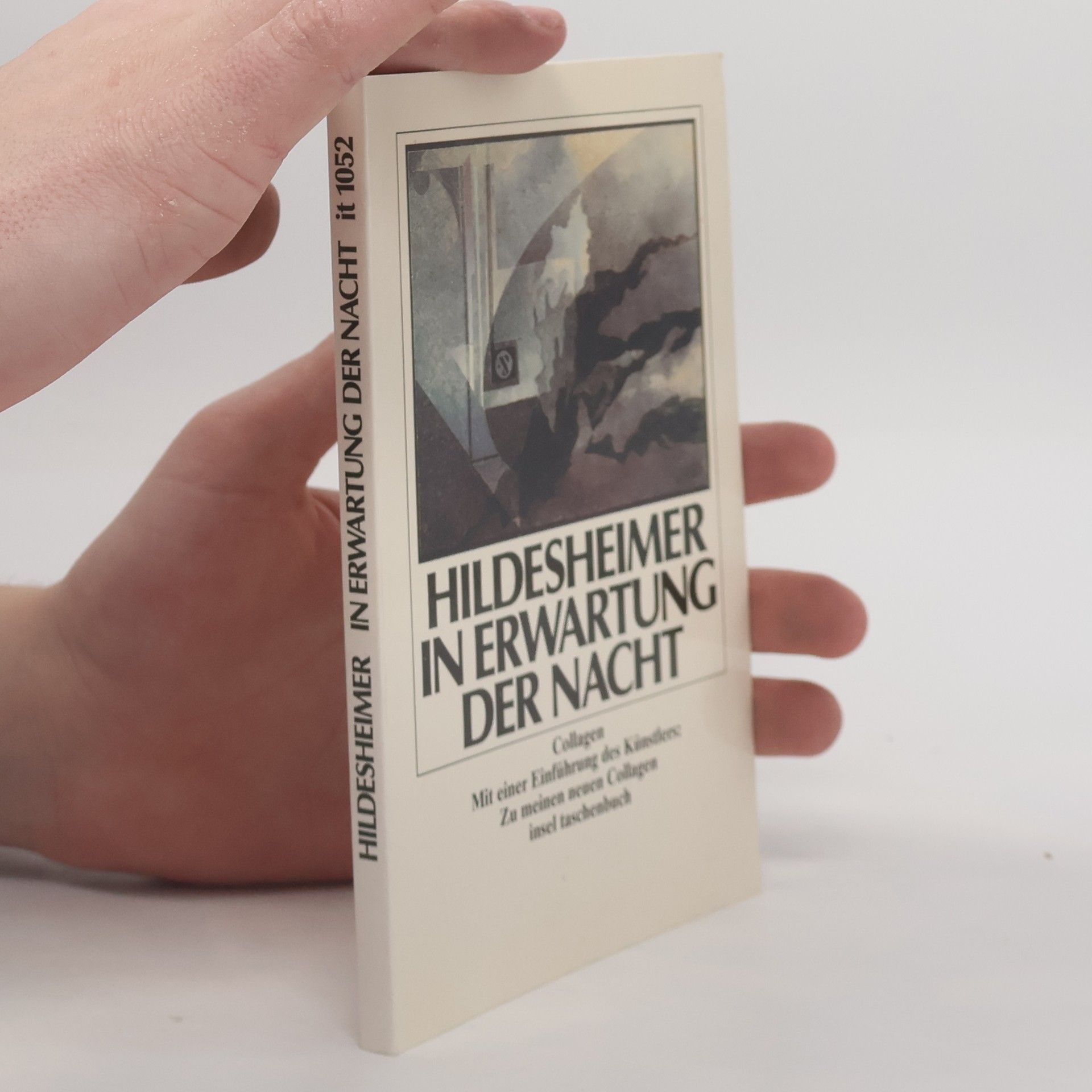 Wolfgang Hildesheimer In Erwartung der Nacht